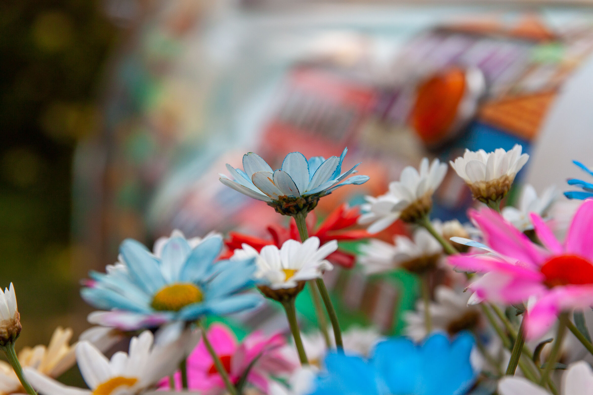 euroflora 22