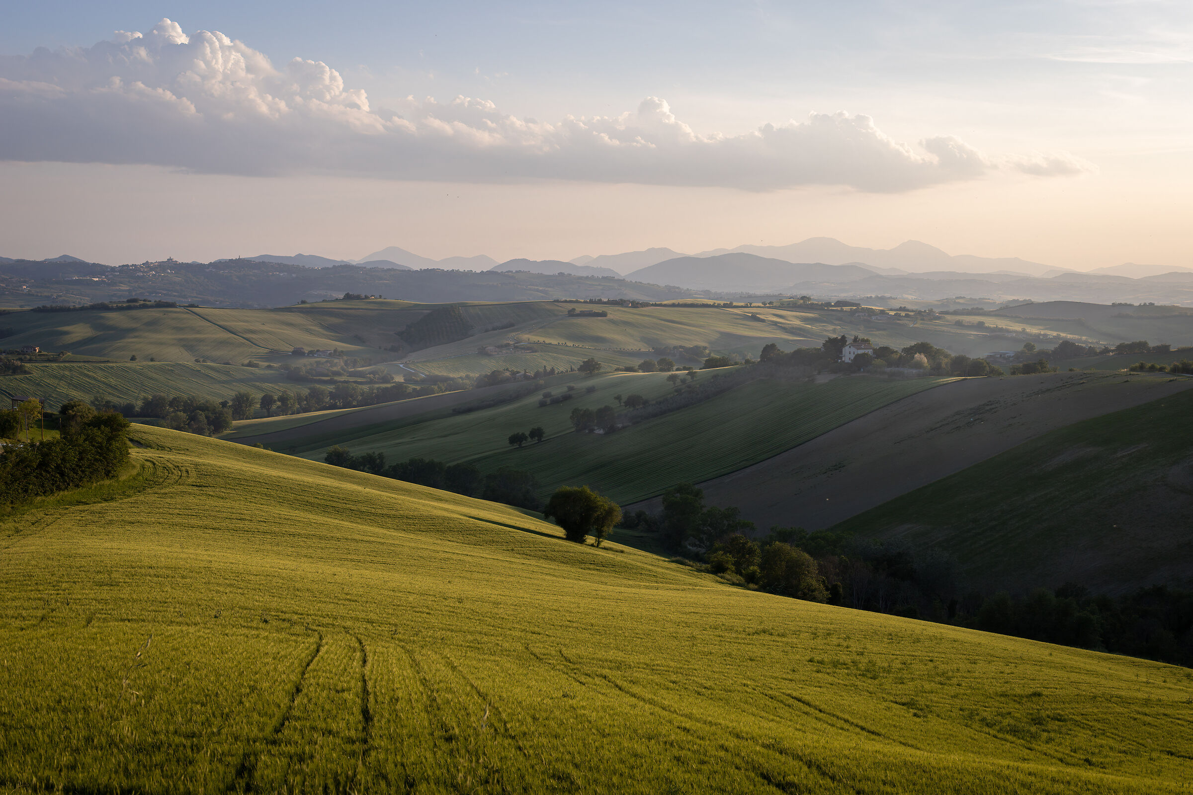 Marche Hills