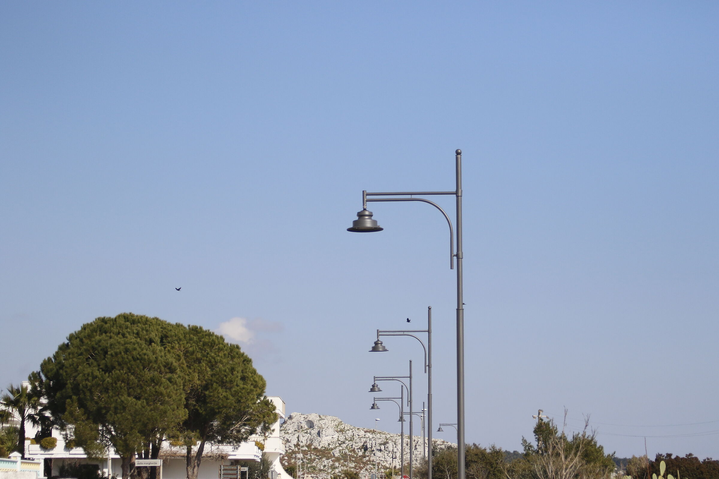 1/ 8.0 0 0, F. 4.5, ISO 500- 7D II, DO