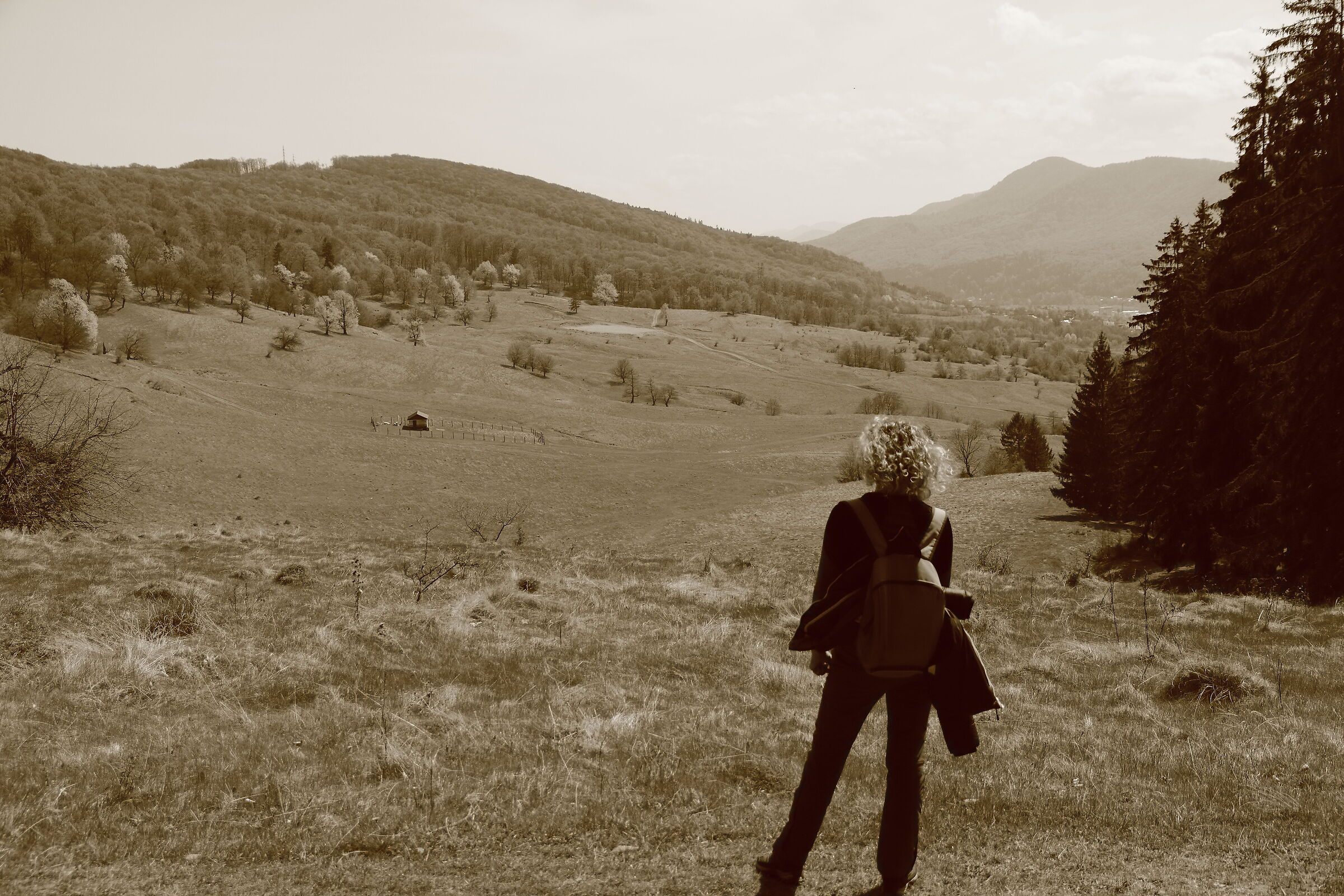 "Profondità di campo"