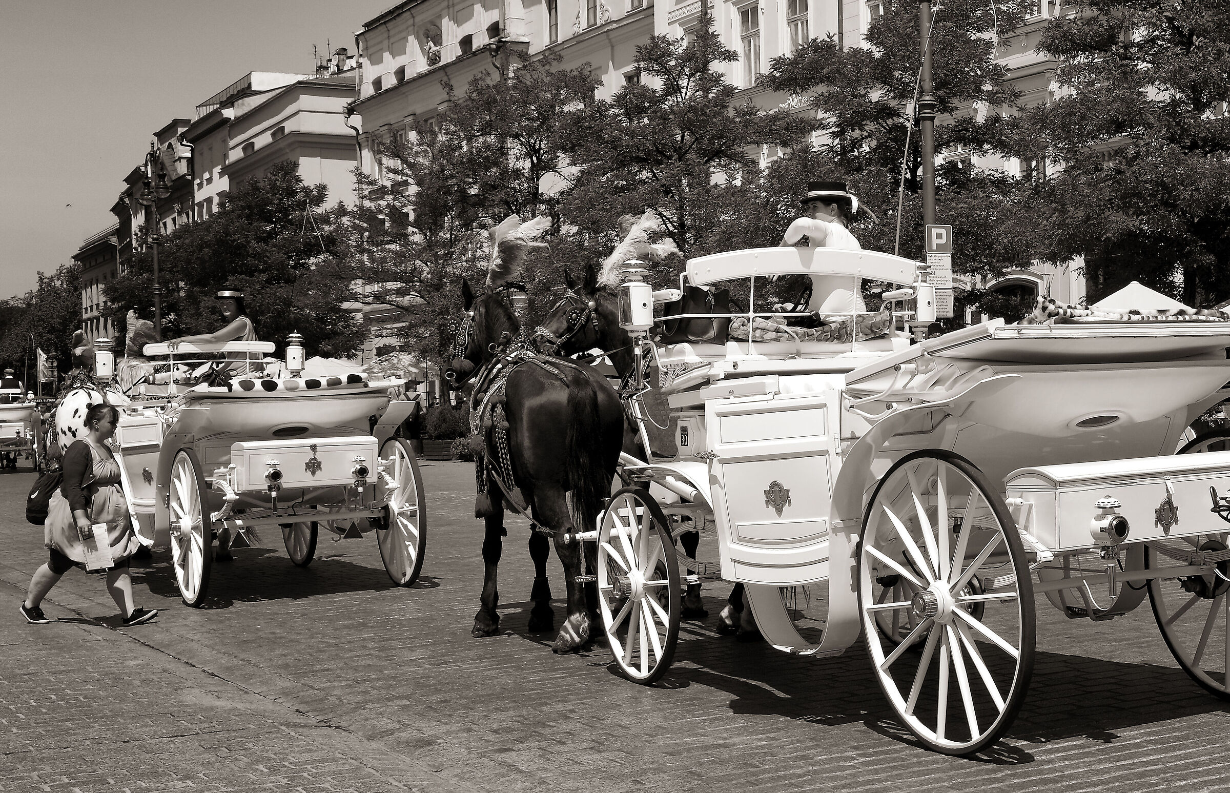 Appointment with the tourist