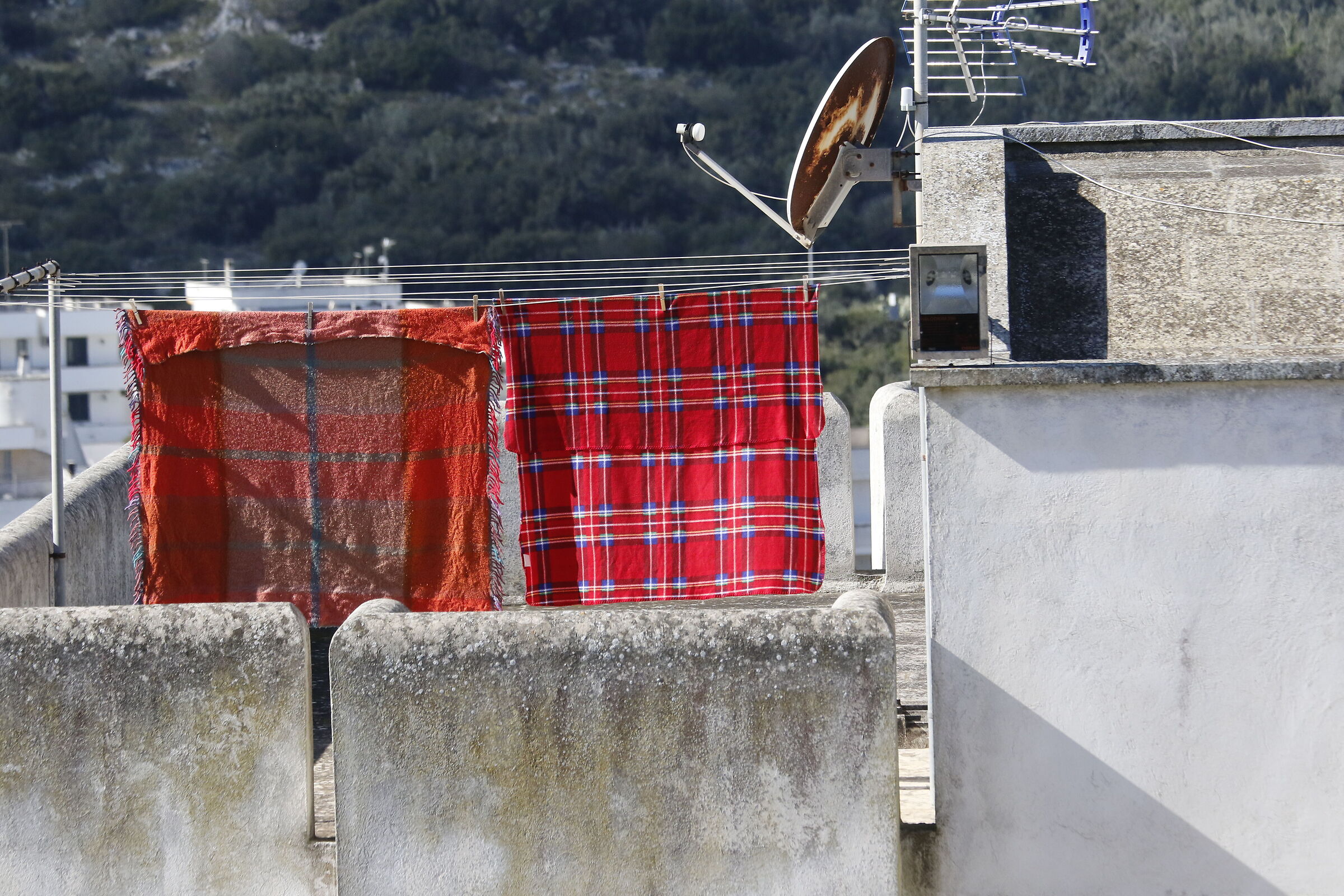 Crop 216, 1/ 4.0 0 0, F. 5.6, ISO 500- 7D II, DO