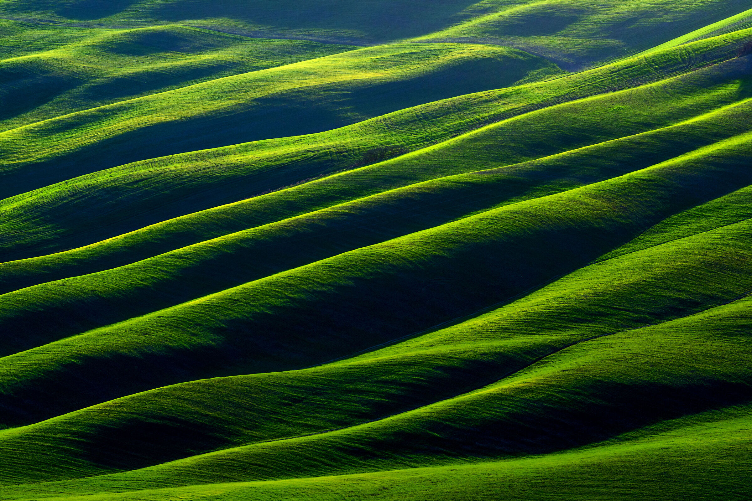 semplicemente Toscana