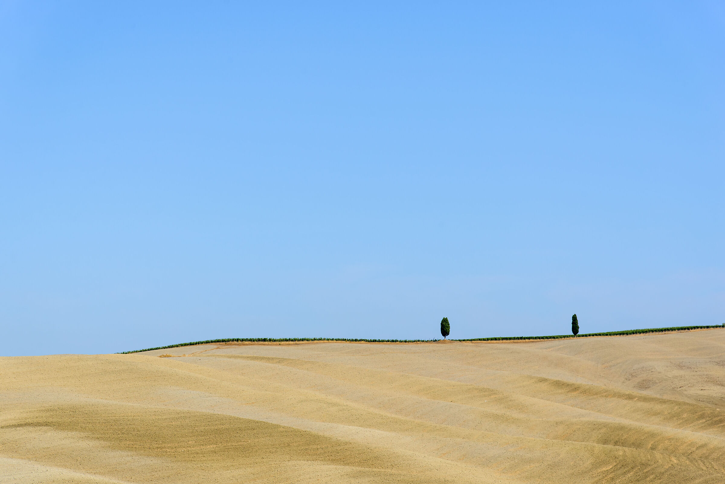 Tuscan Minimalism