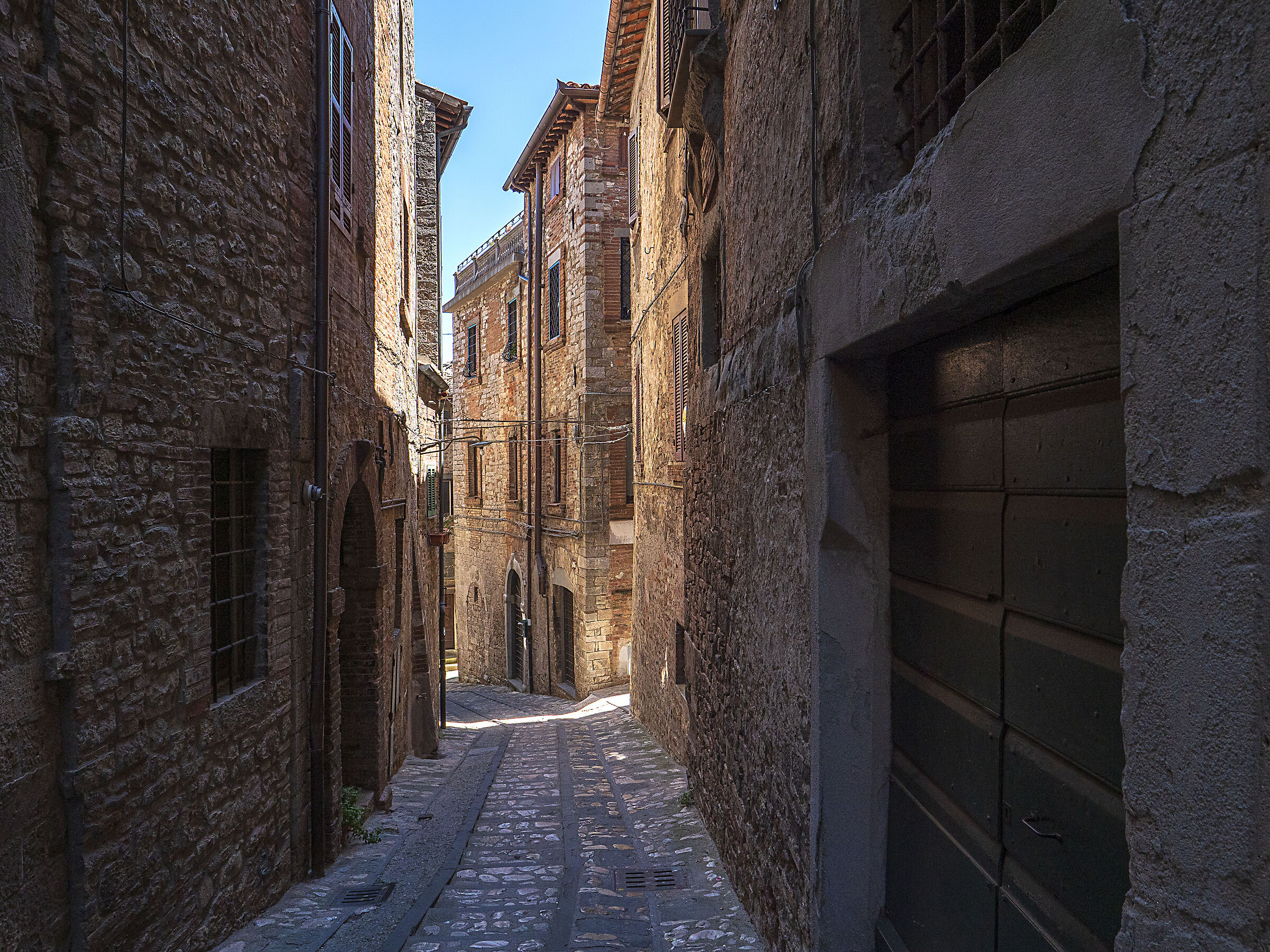 Todi