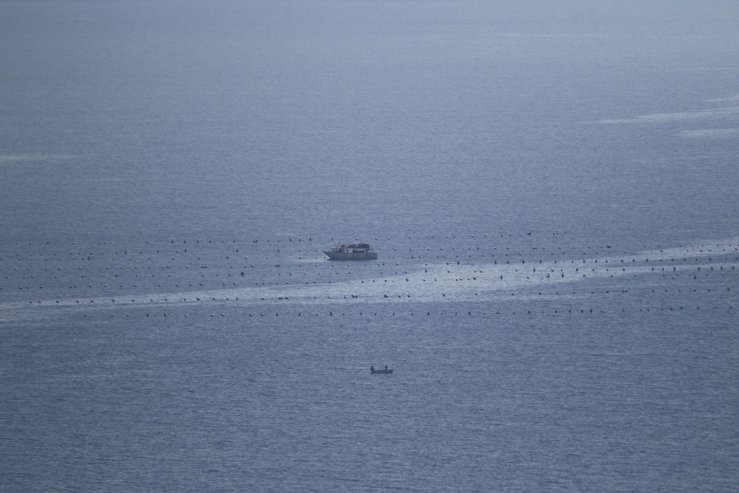 Crop 480- 1/ 8.0 0 0, F. 5.6, ISO 500- 7D II, DO