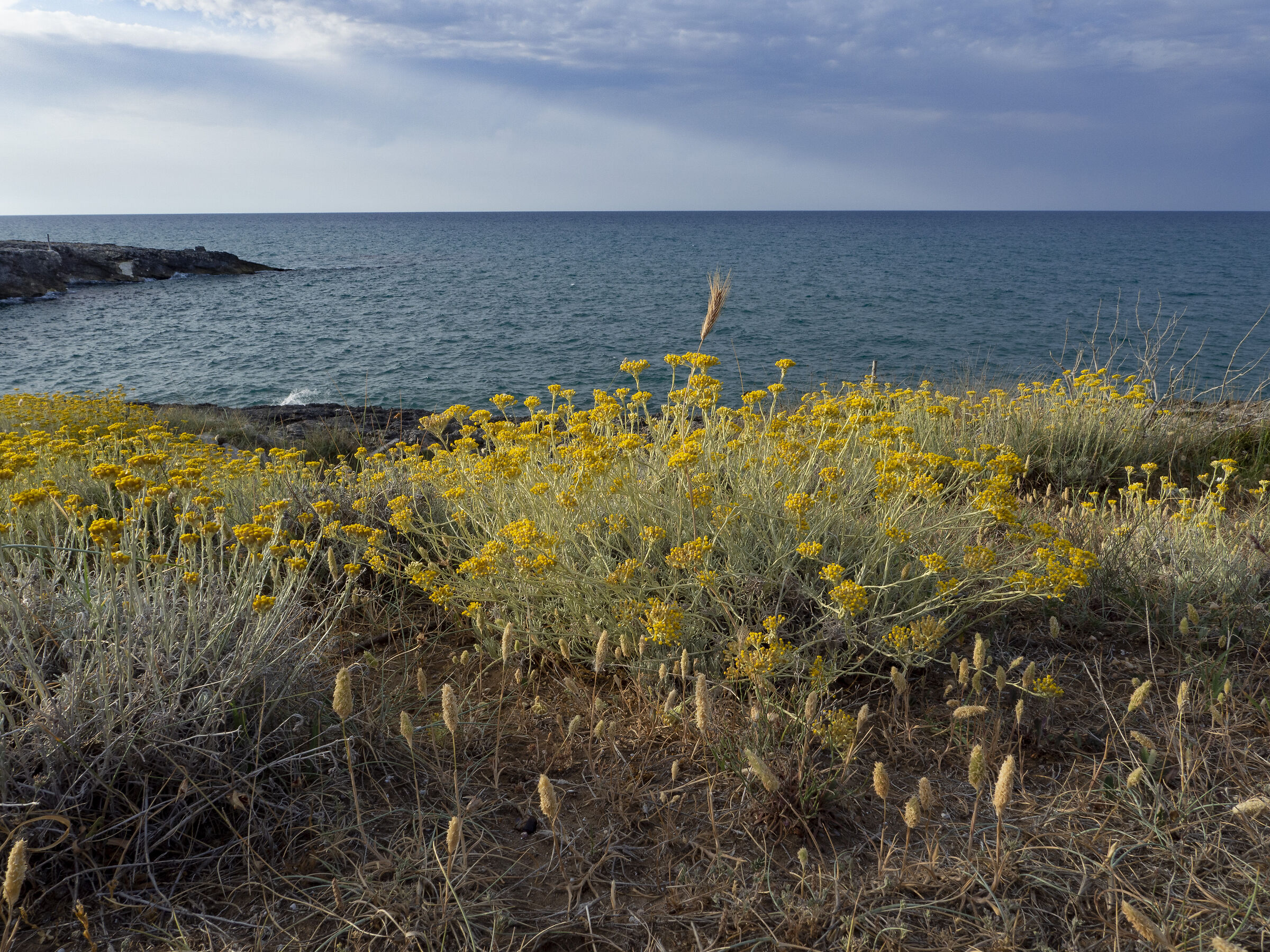 Paradiso di Sfinale - Gargano