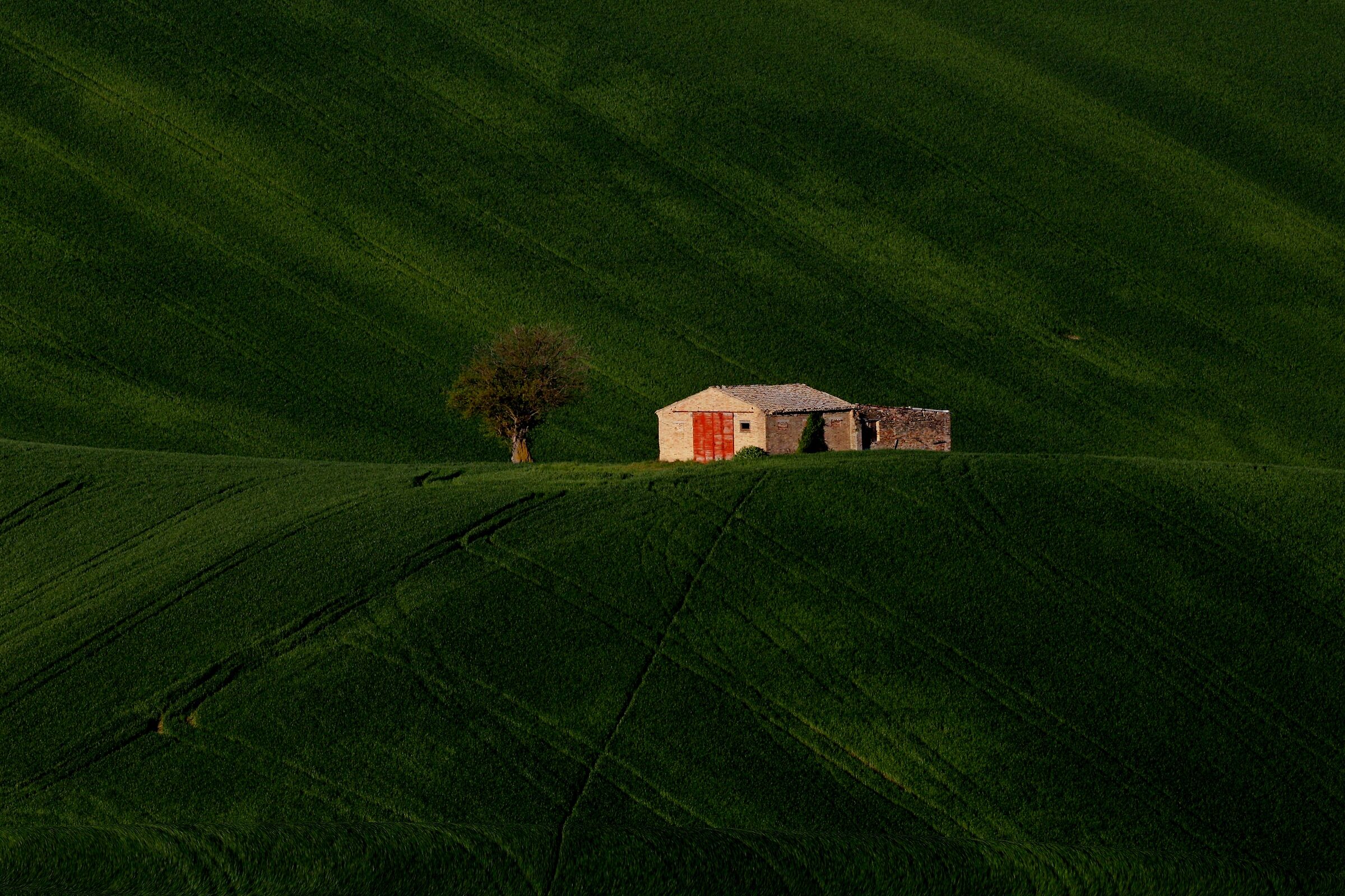 Little house with a red door 2022