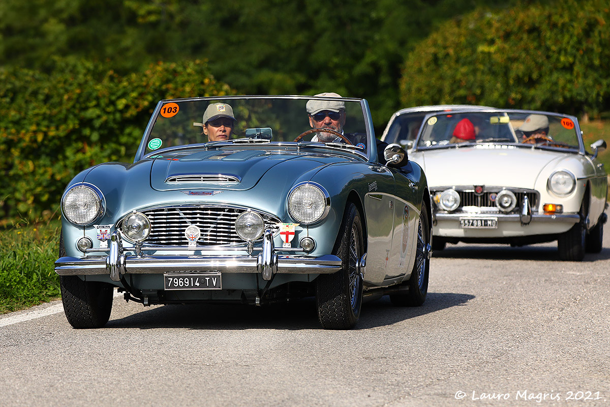 Austin Healey 3000 MK1 1960