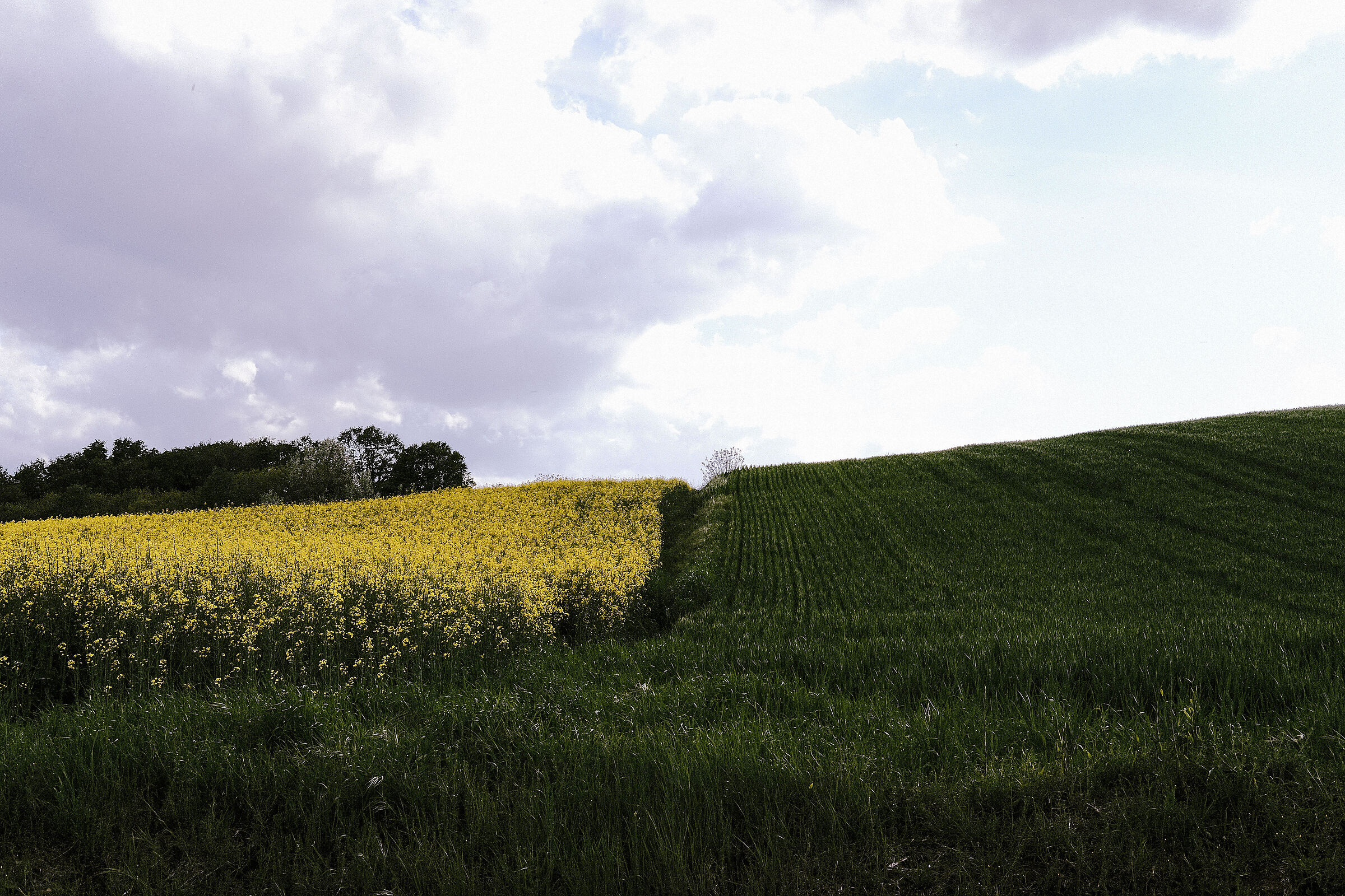 Contrasti cromatrici