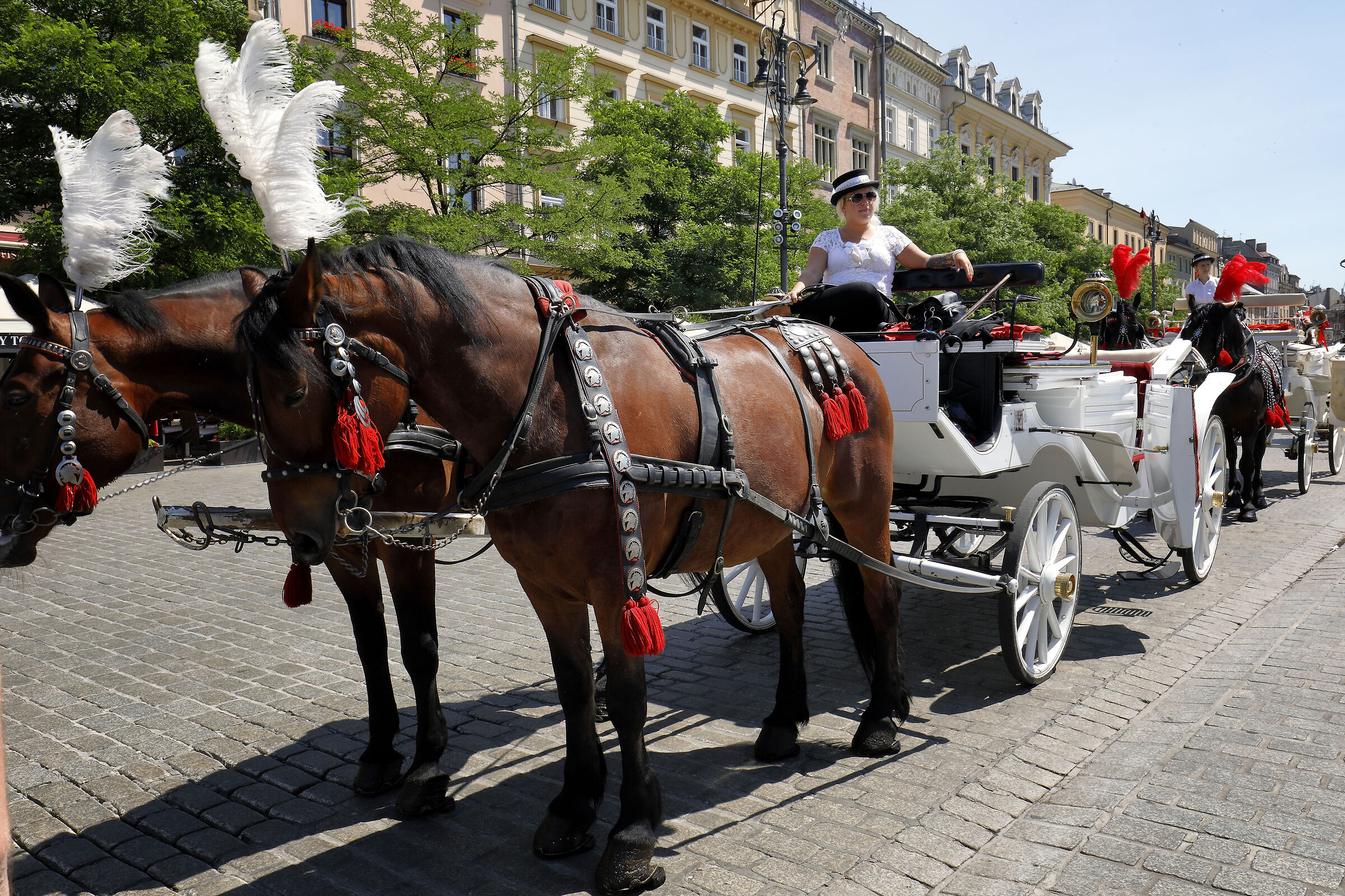 Rynek G&lstrok;ówny