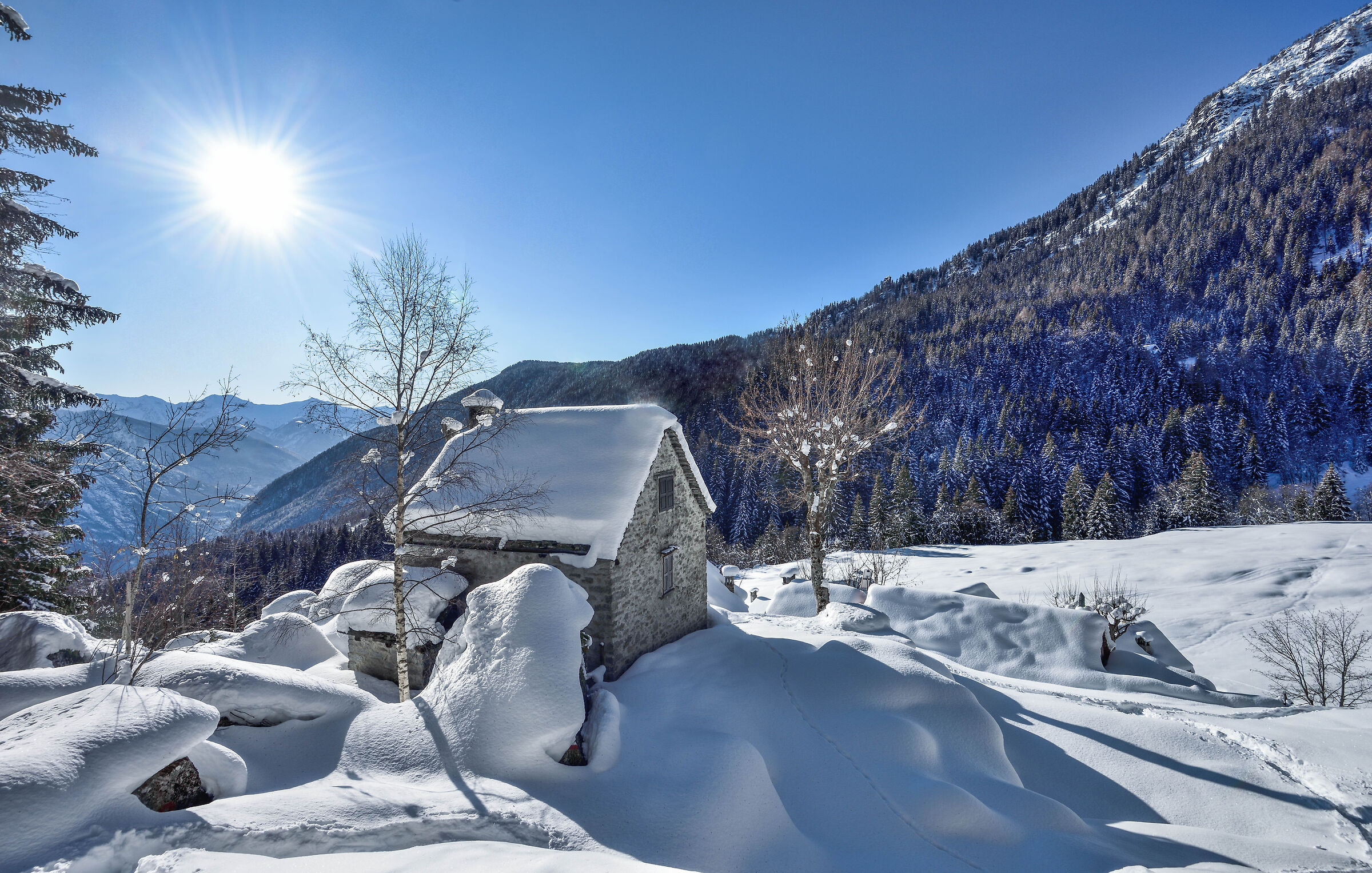 snowshoeing Foppiano di Crodo-Alpe Voma-Alpe Prepiana on