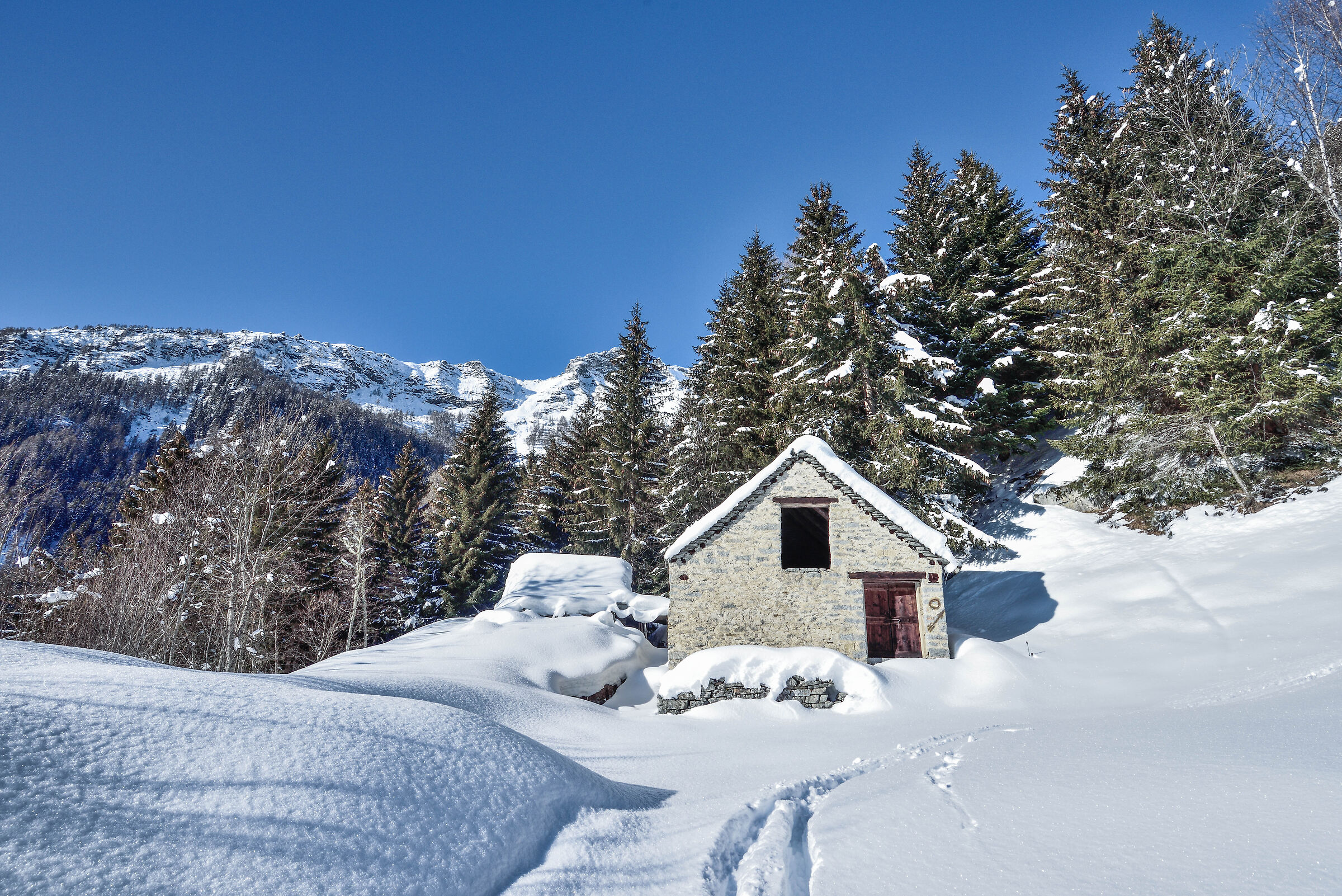 snowshoeing Foppiano di Crodo-Alpe Voma-Alpe Prepiana on