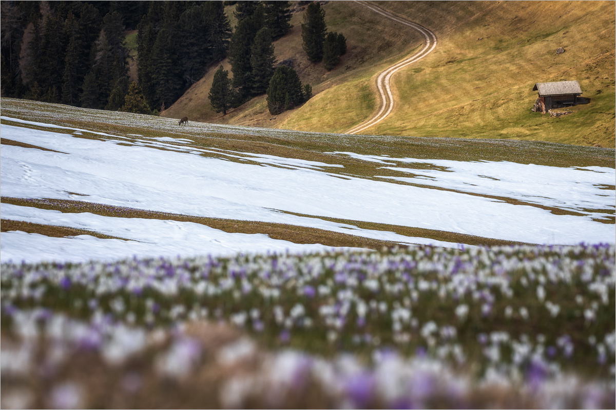 Spring in the Highlands