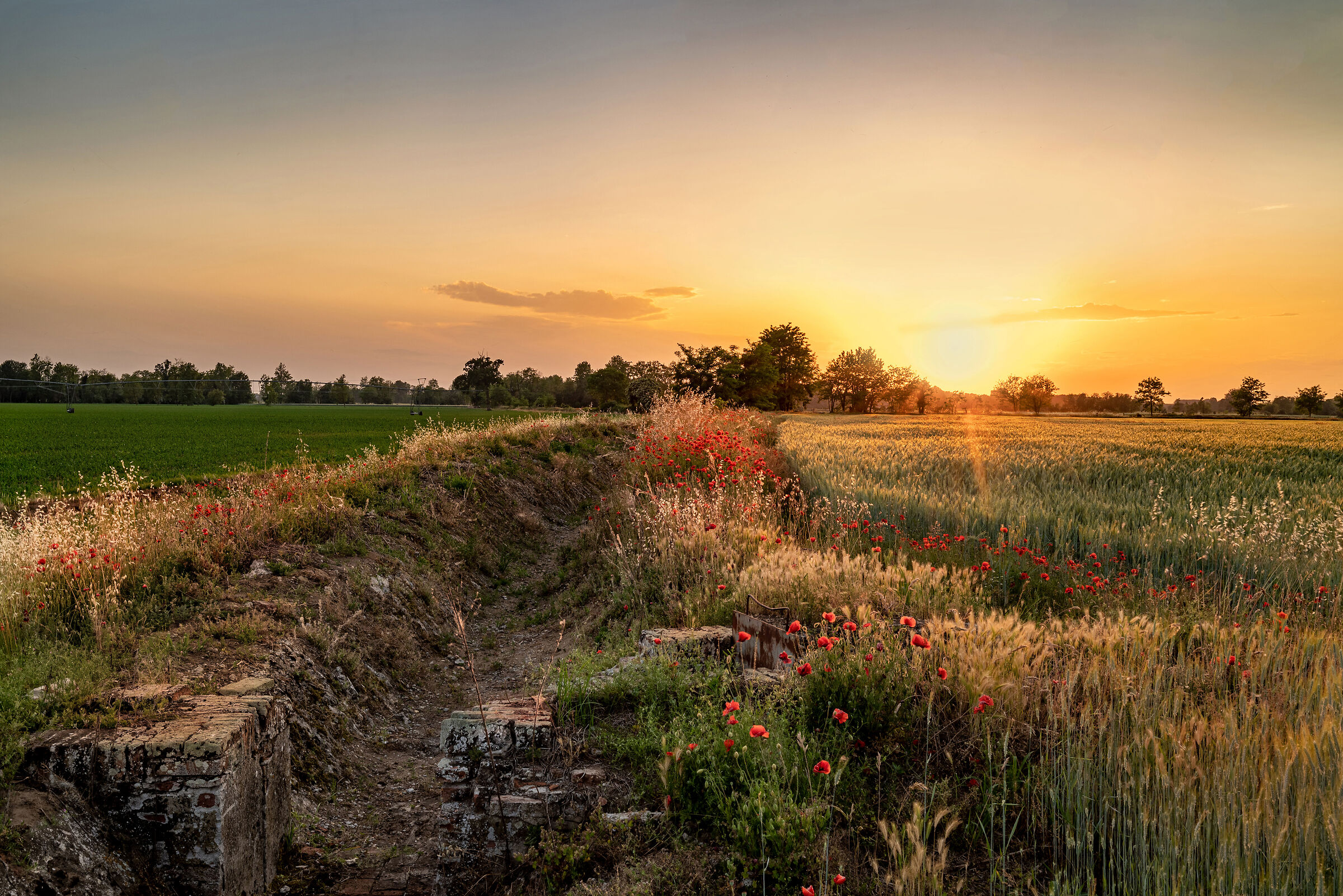 Aspettando la pioggia