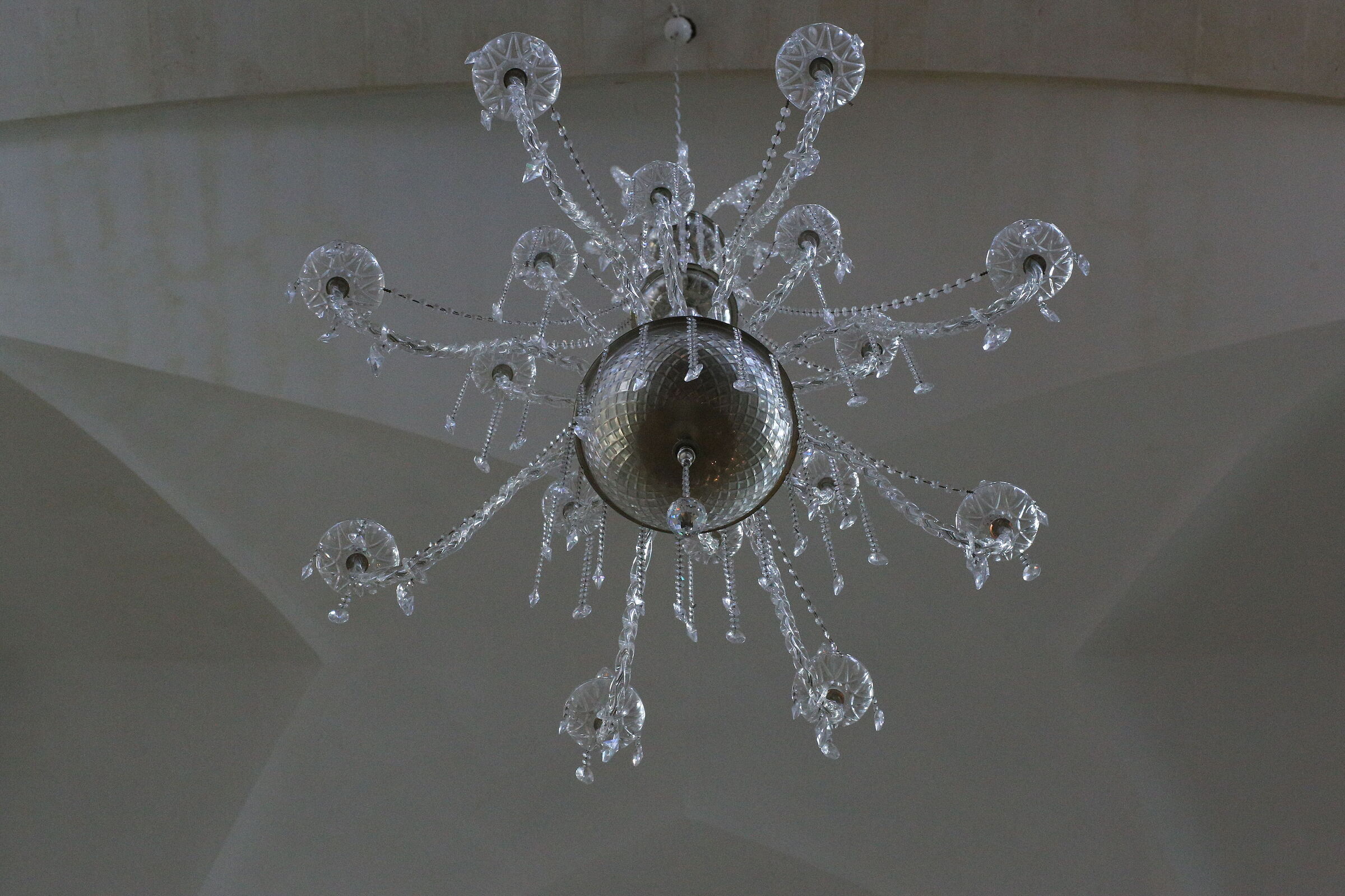 ISO 8.0 0 0, 1/ 250, F. 9.5- Milvus 50, 1.4, 6D