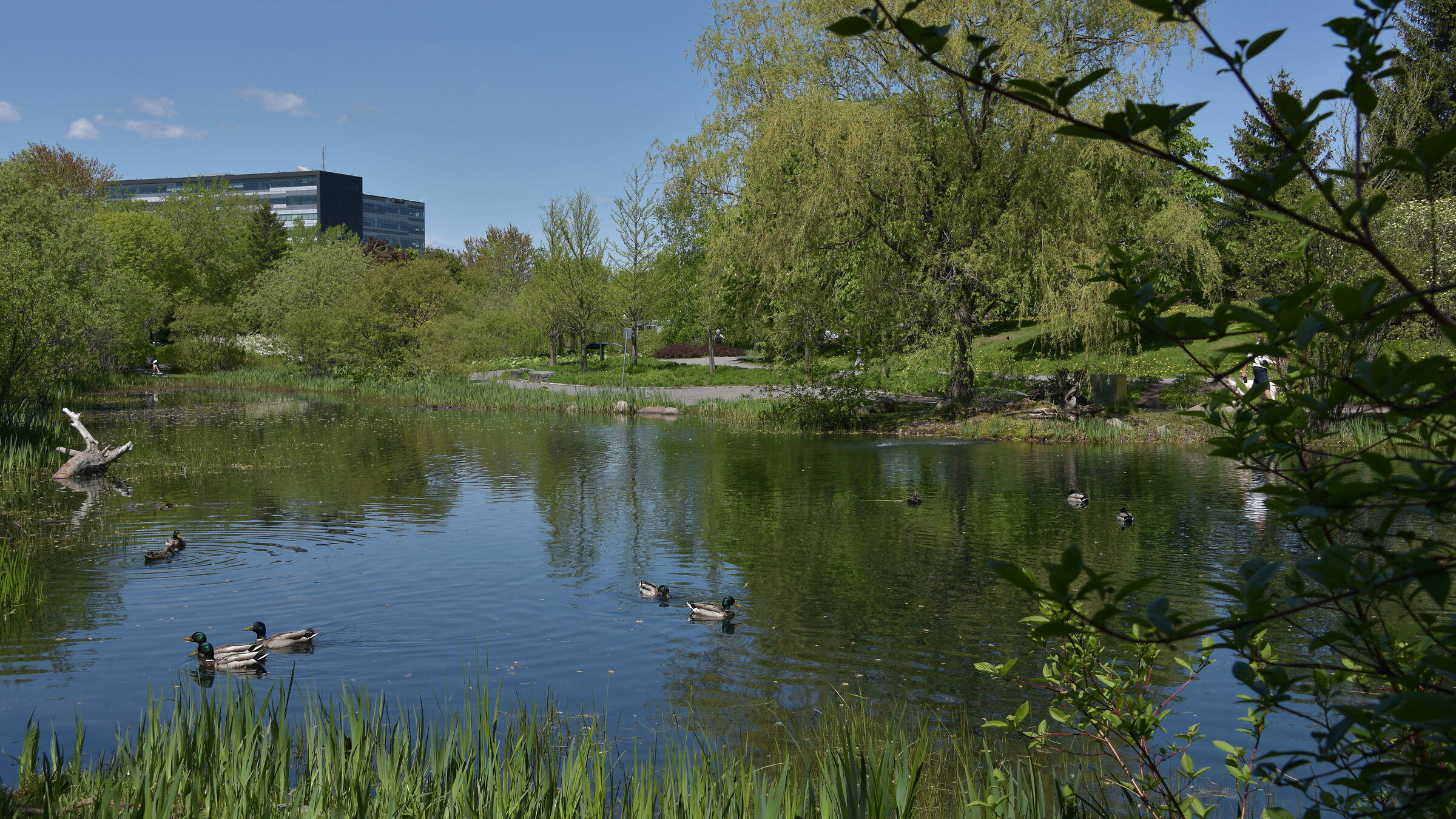 Because I like to spend ''relaxed'' time the...