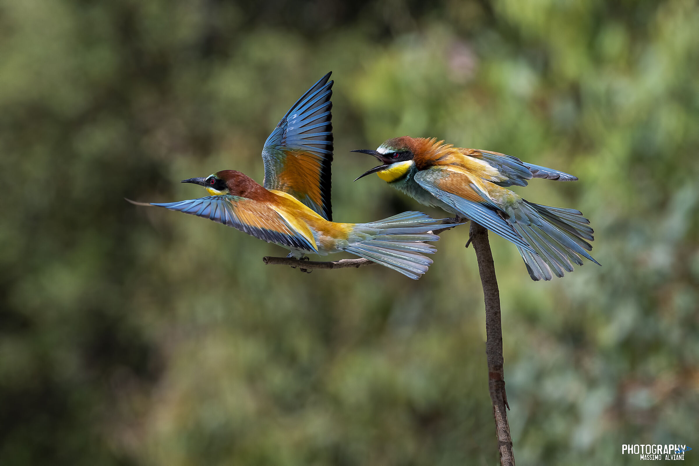 Vai viaaaaaa.....................