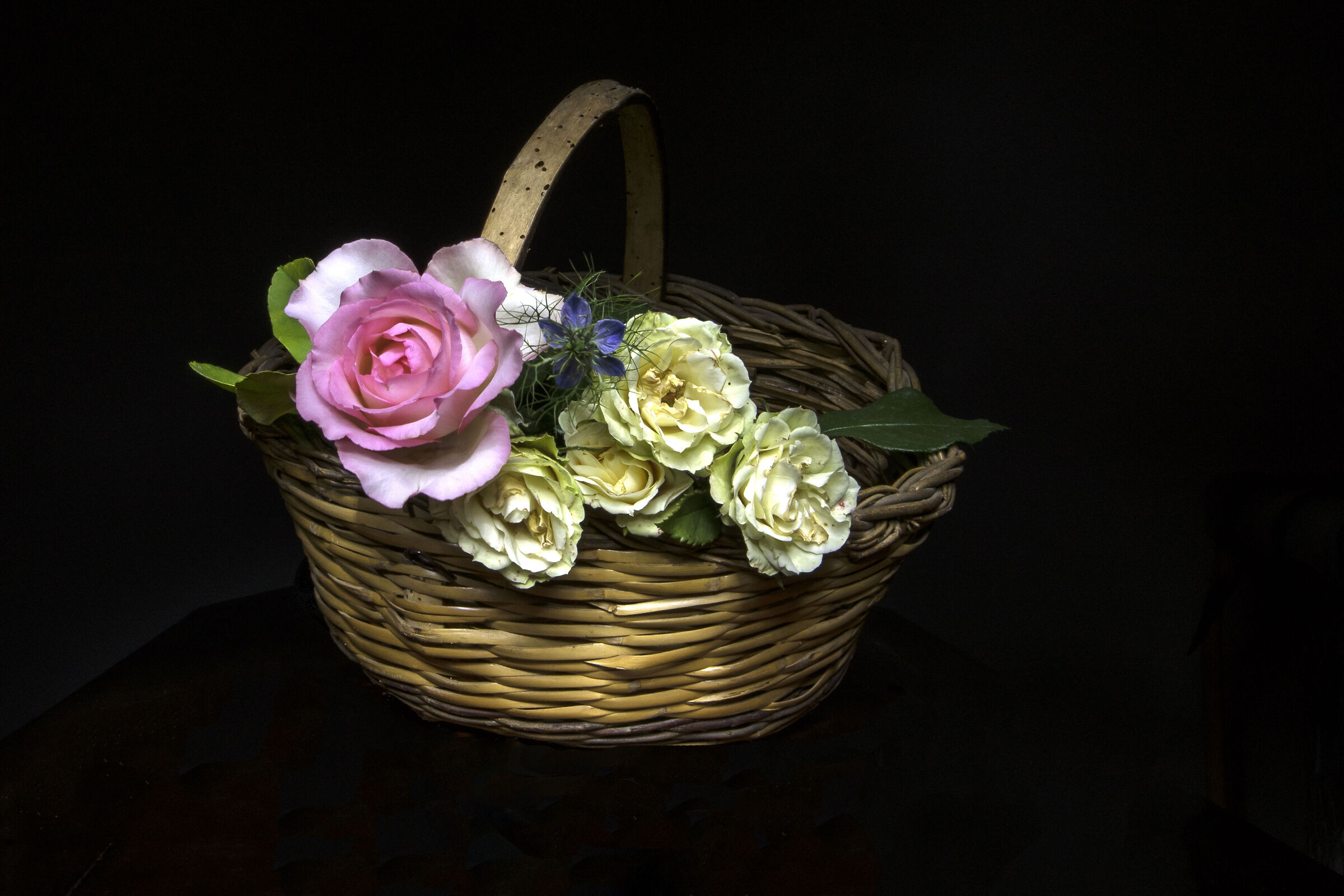 Roses