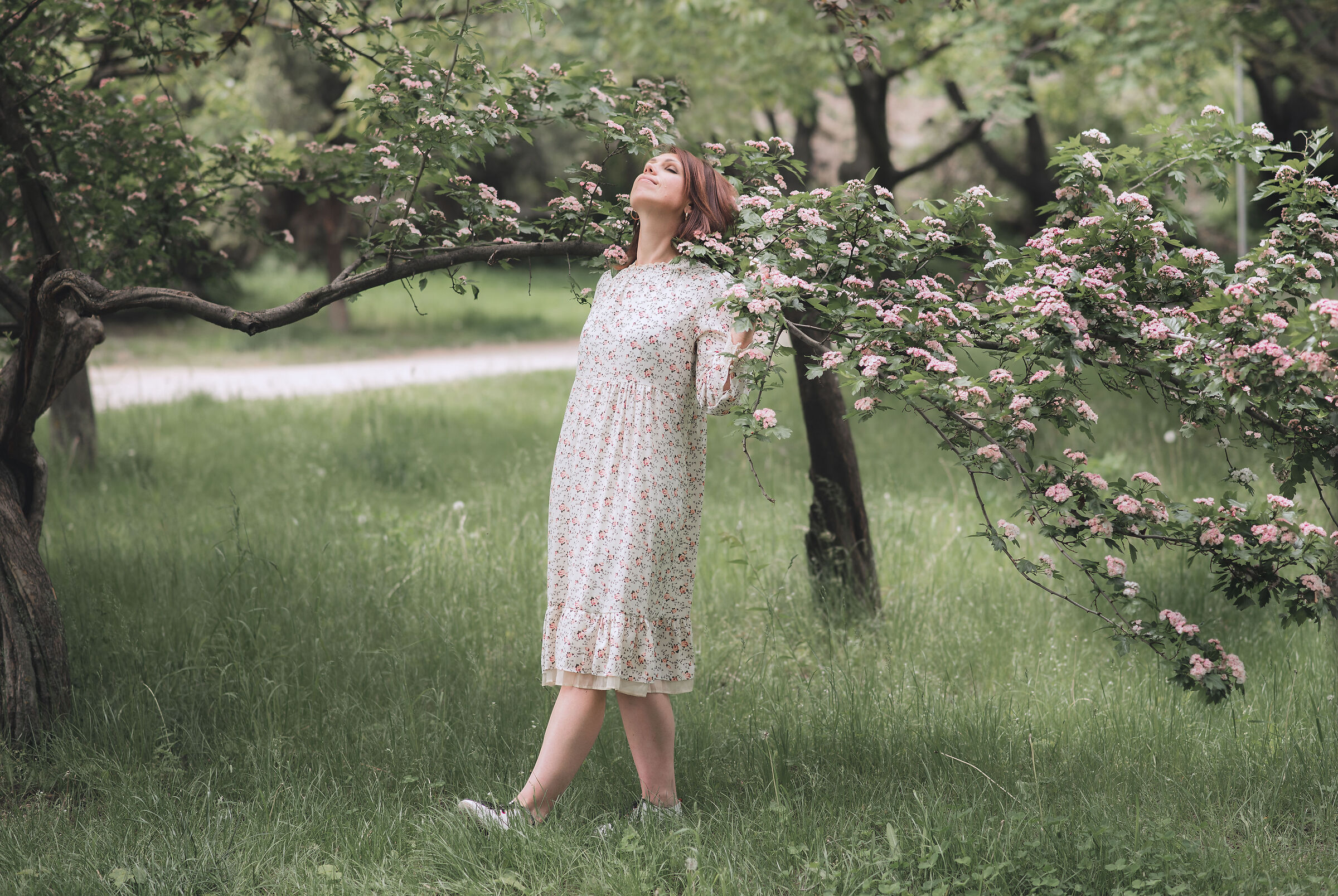 e i fiori sbocciano anche se è in corso una guerra