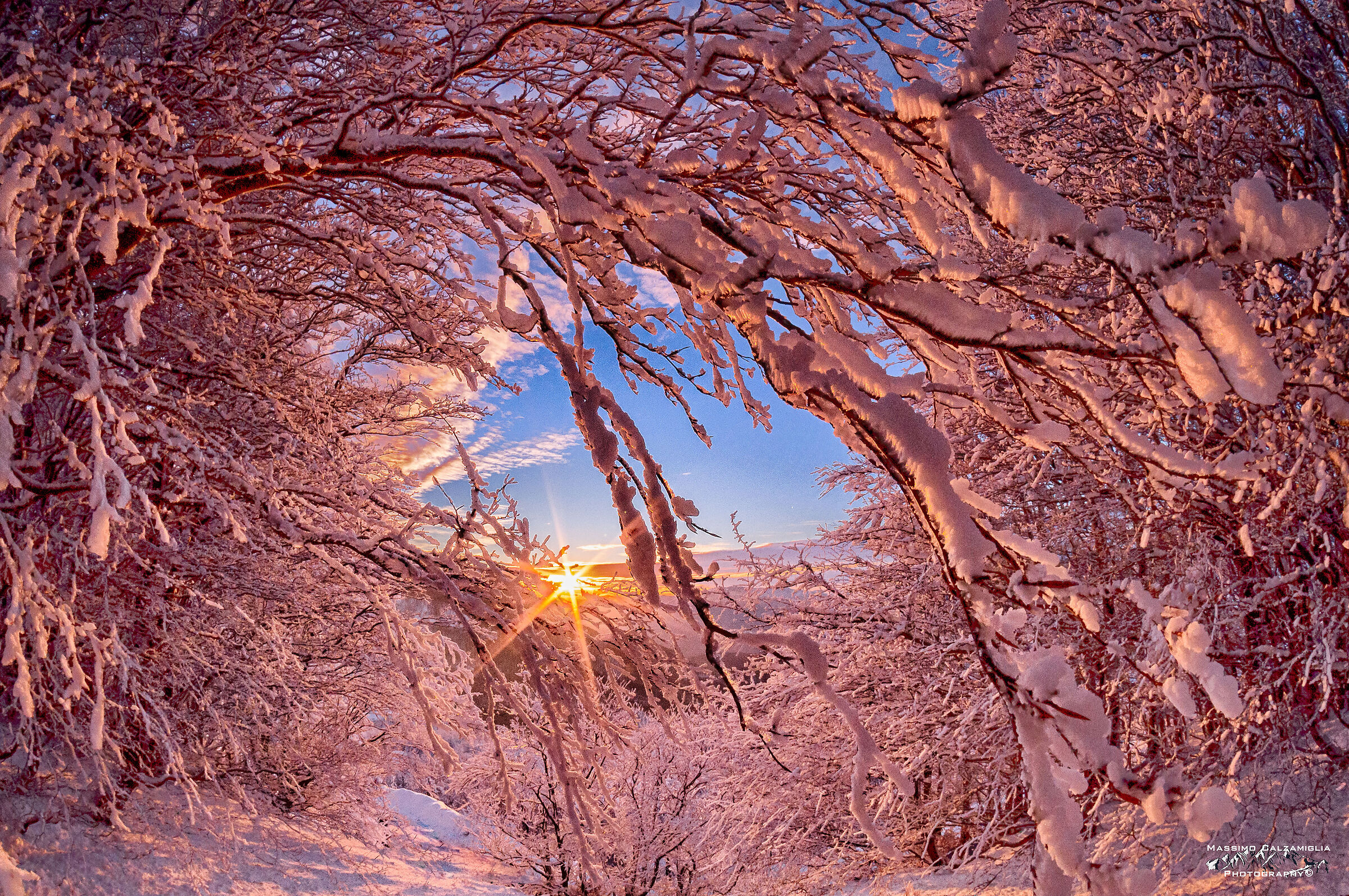 Frozen