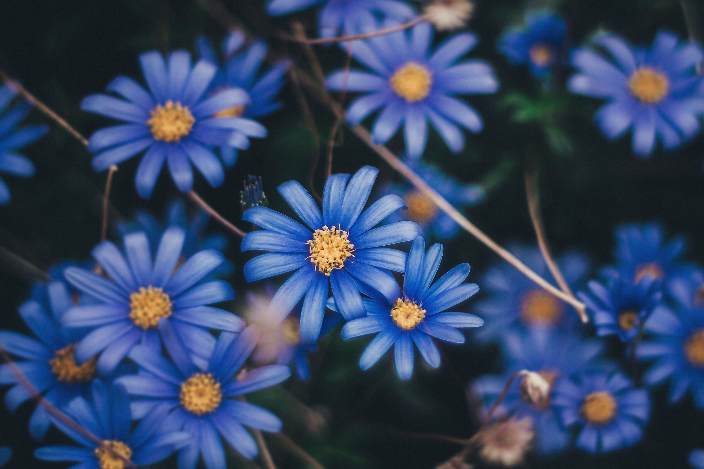 Untitled Photo