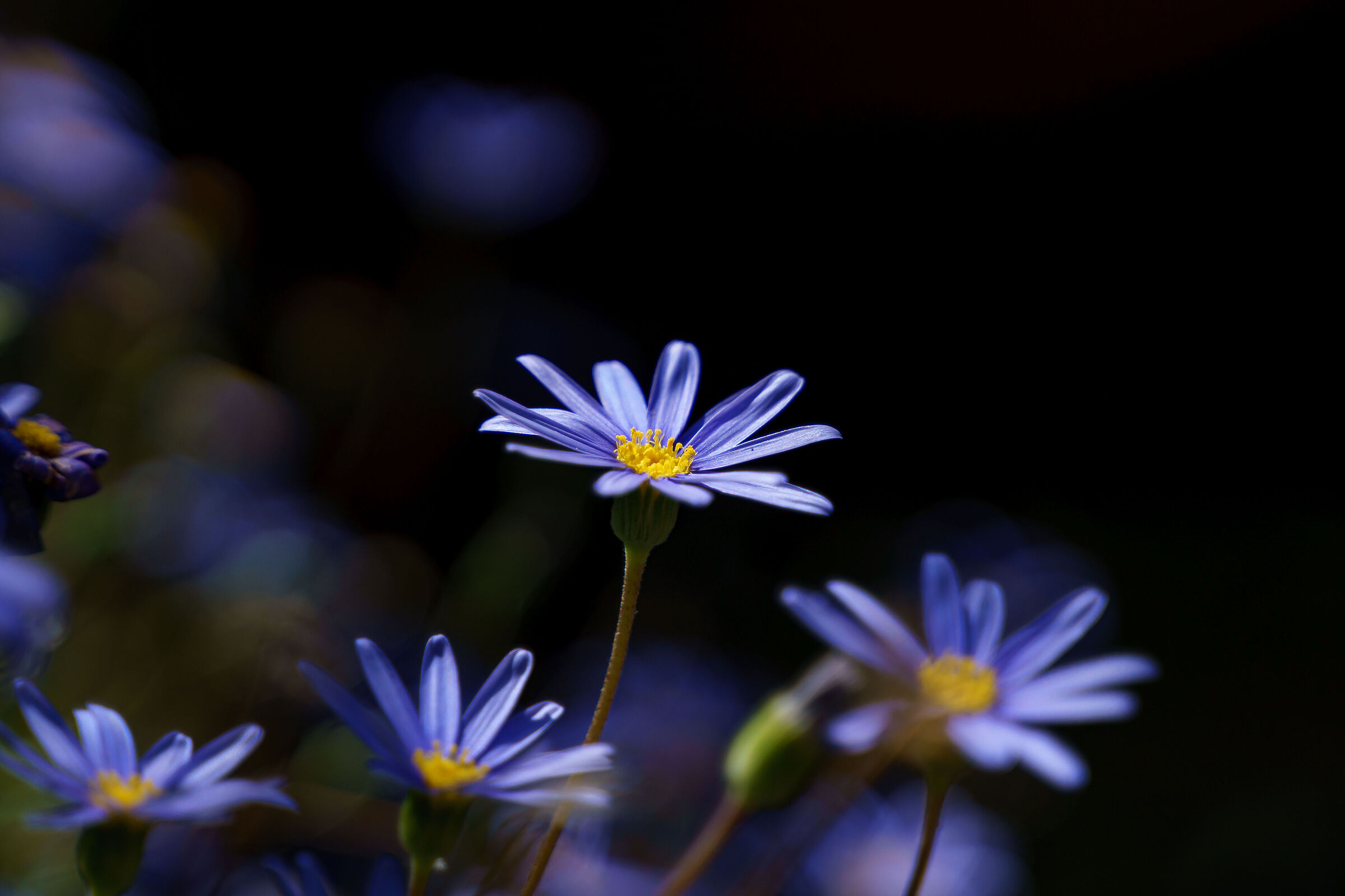 Untitled Photo