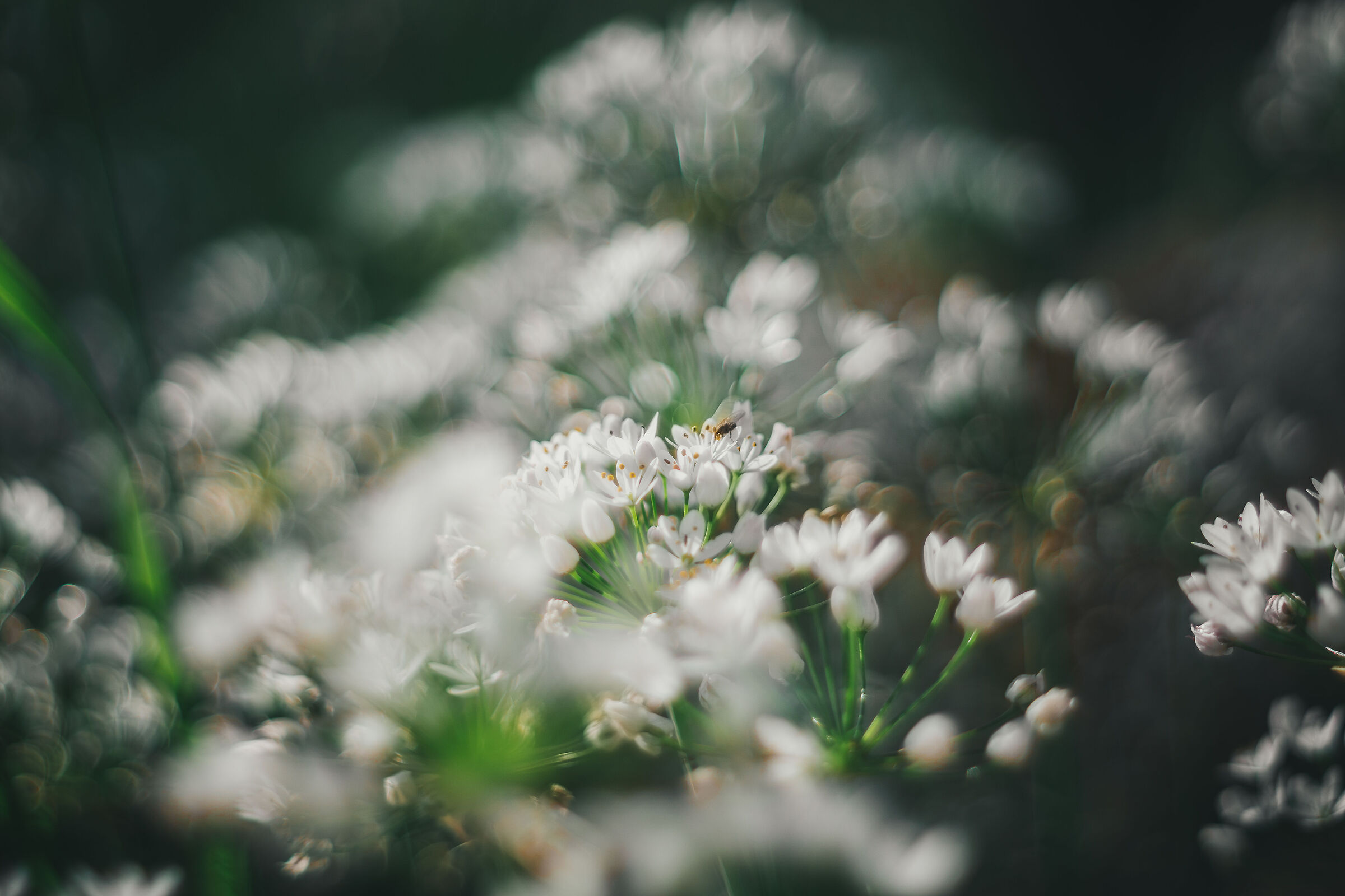 Untitled Photo