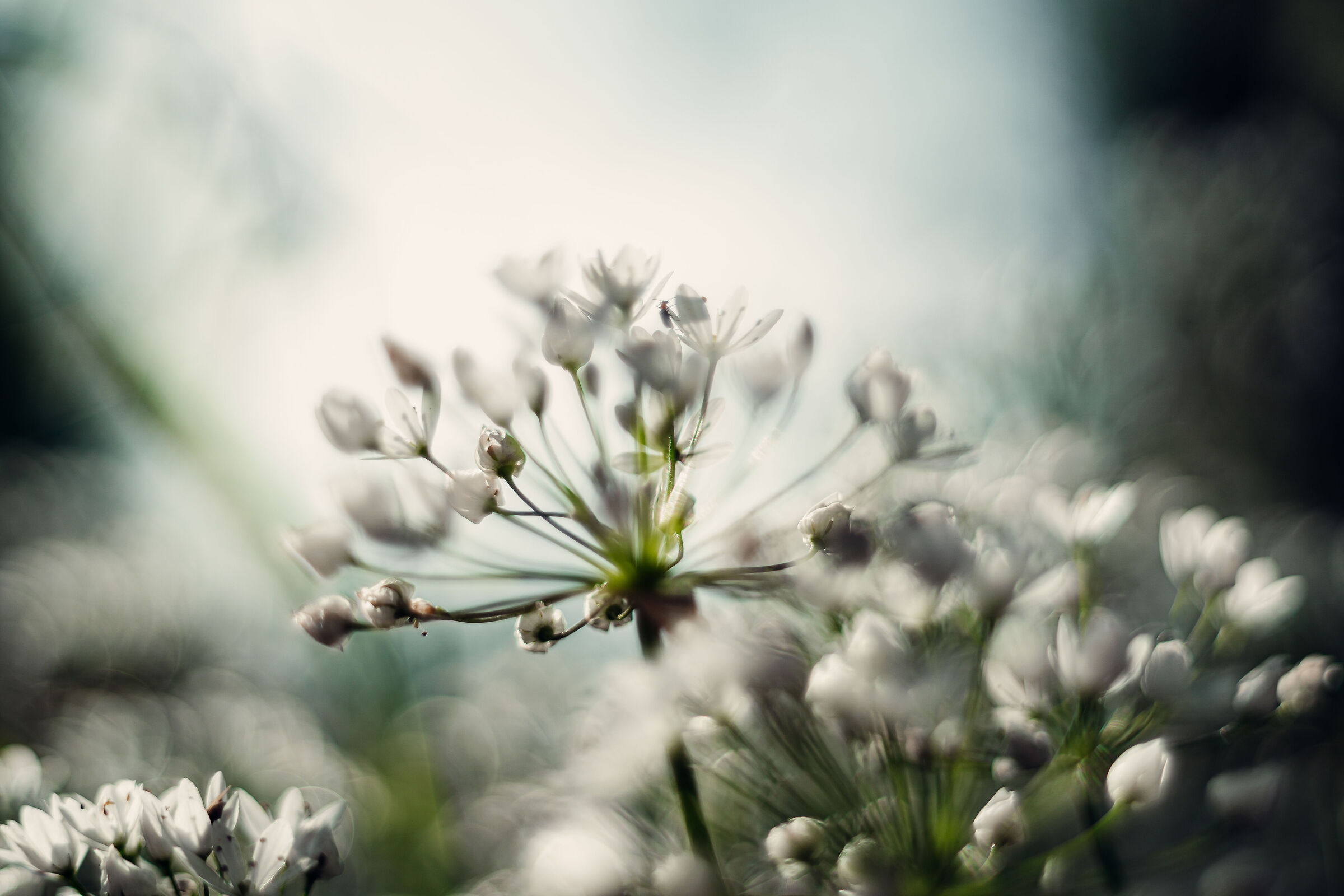 Untitled Photo