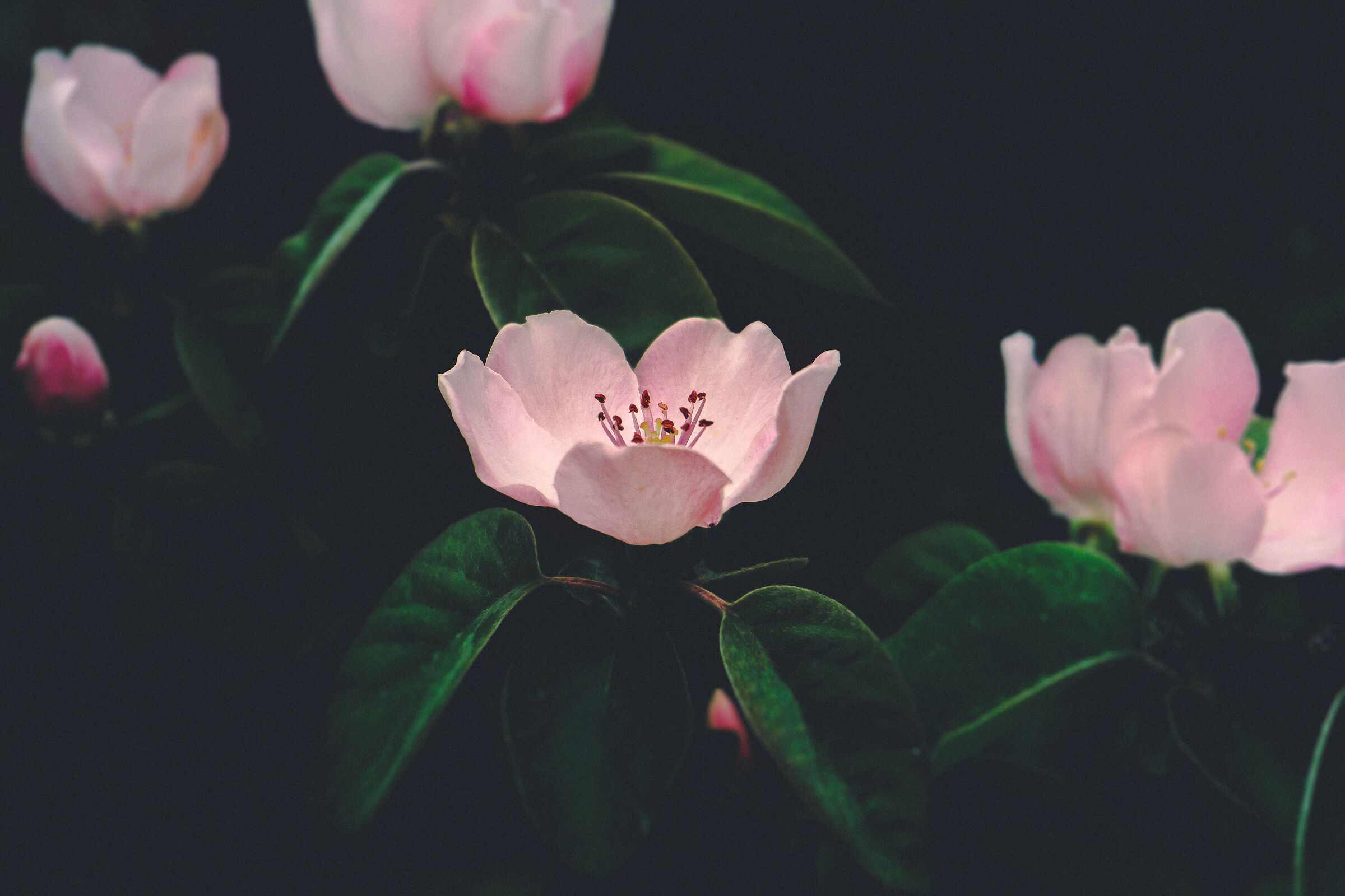 Untitled Photo
