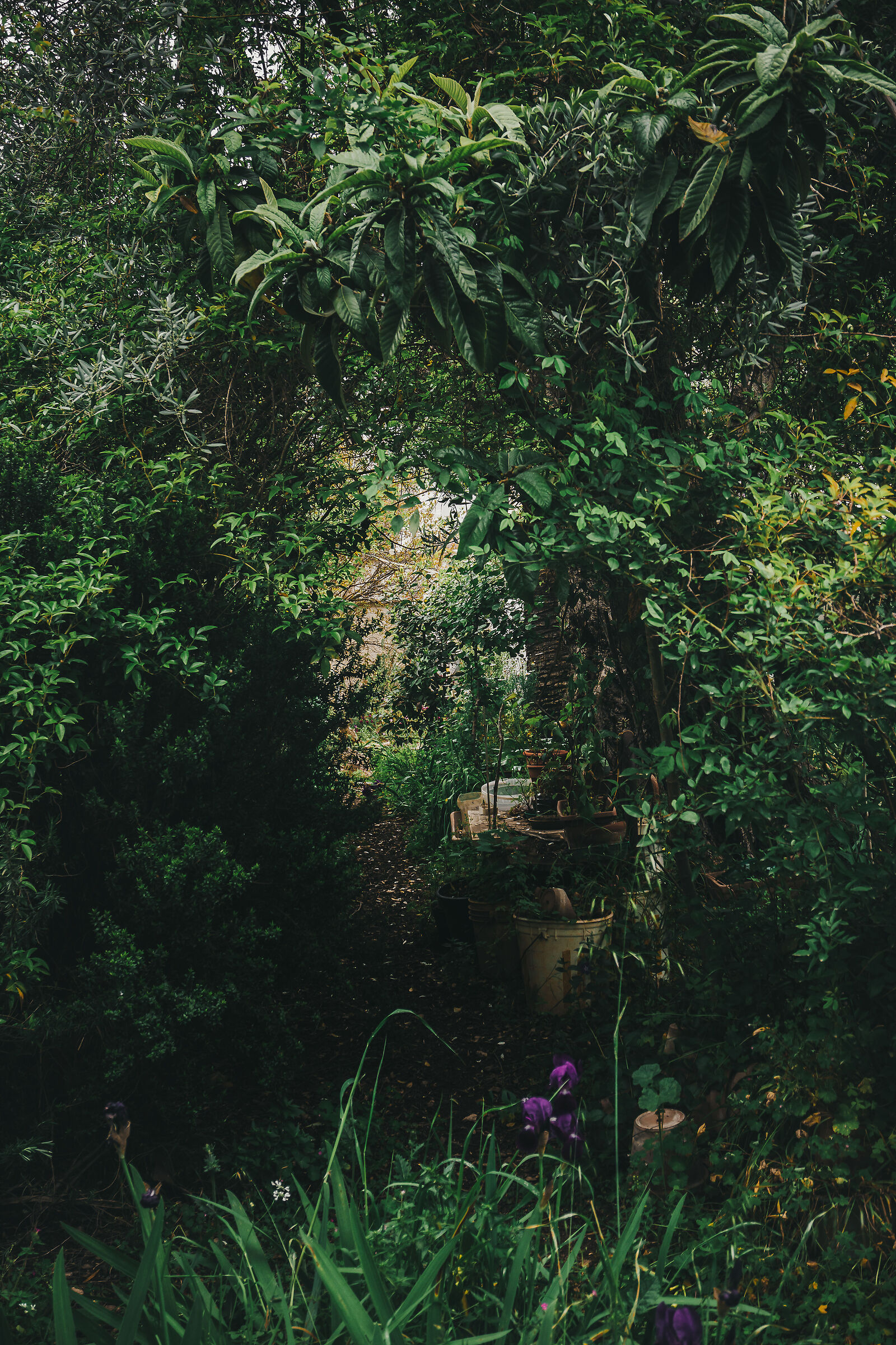 Untitled Photo