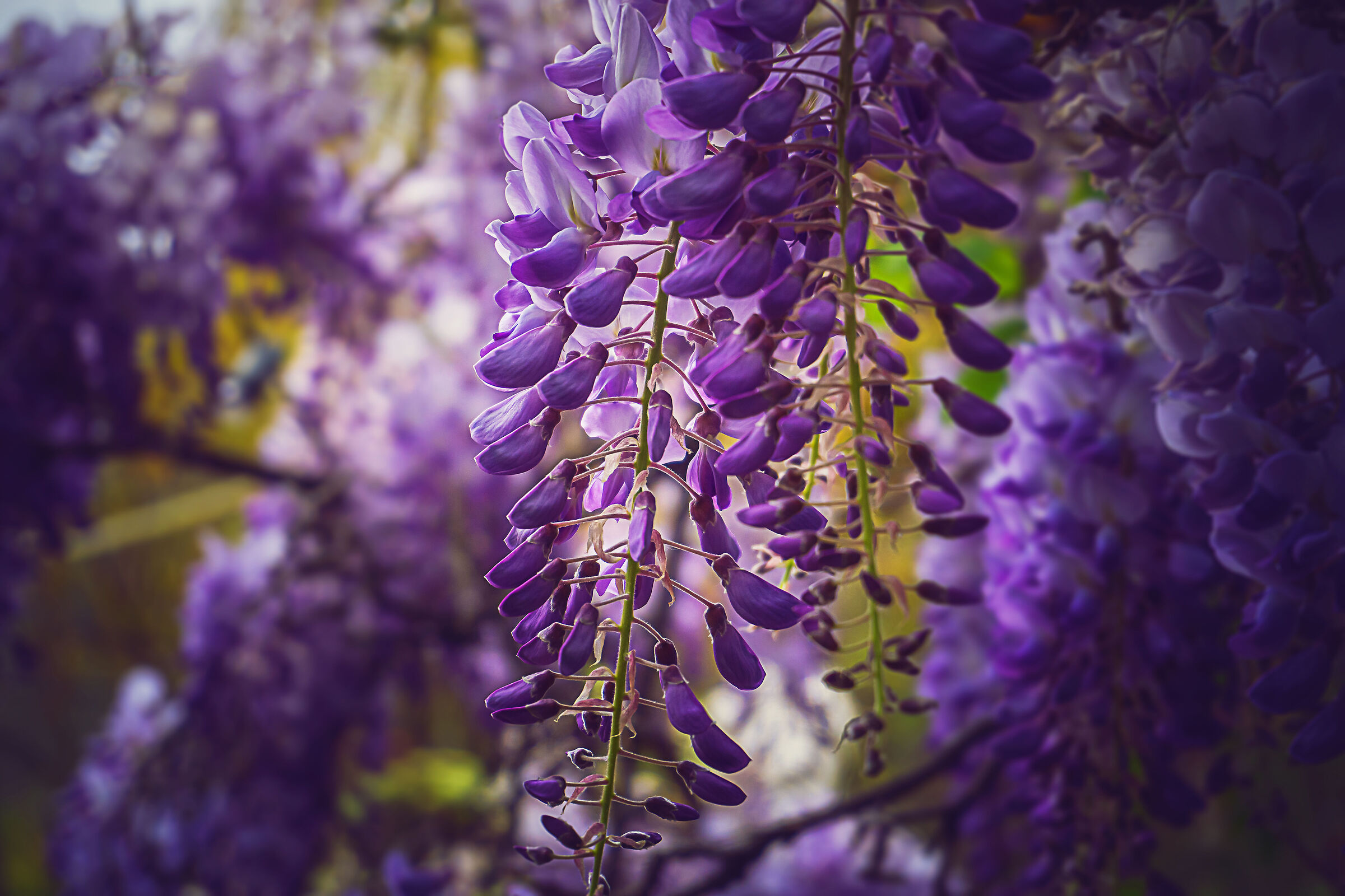 Untitled Photo