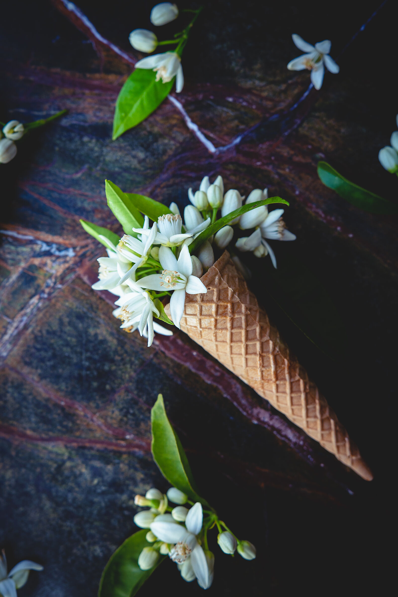 cone of orange blossom
