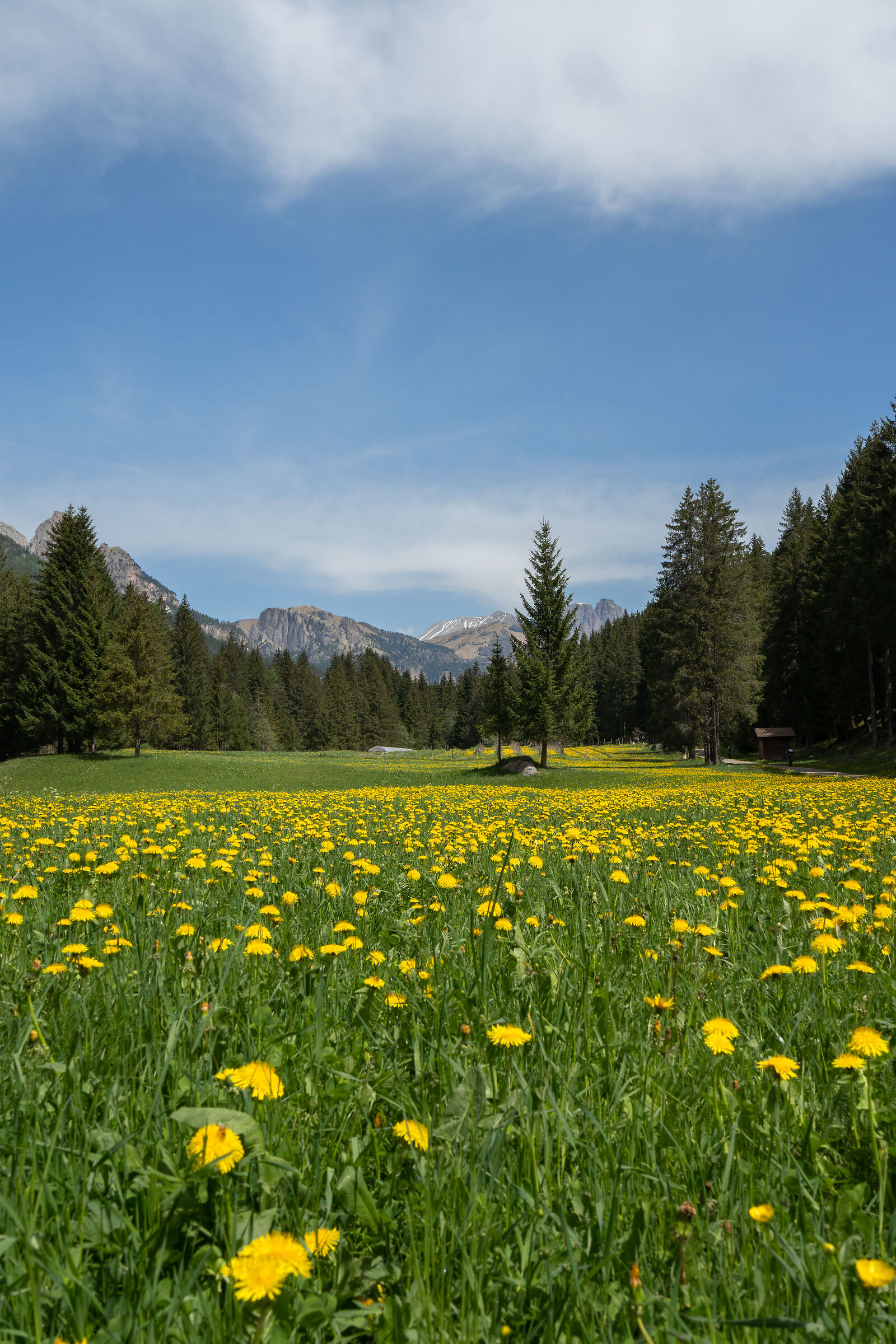 Ammirando la Val di Fassa (Trentino)