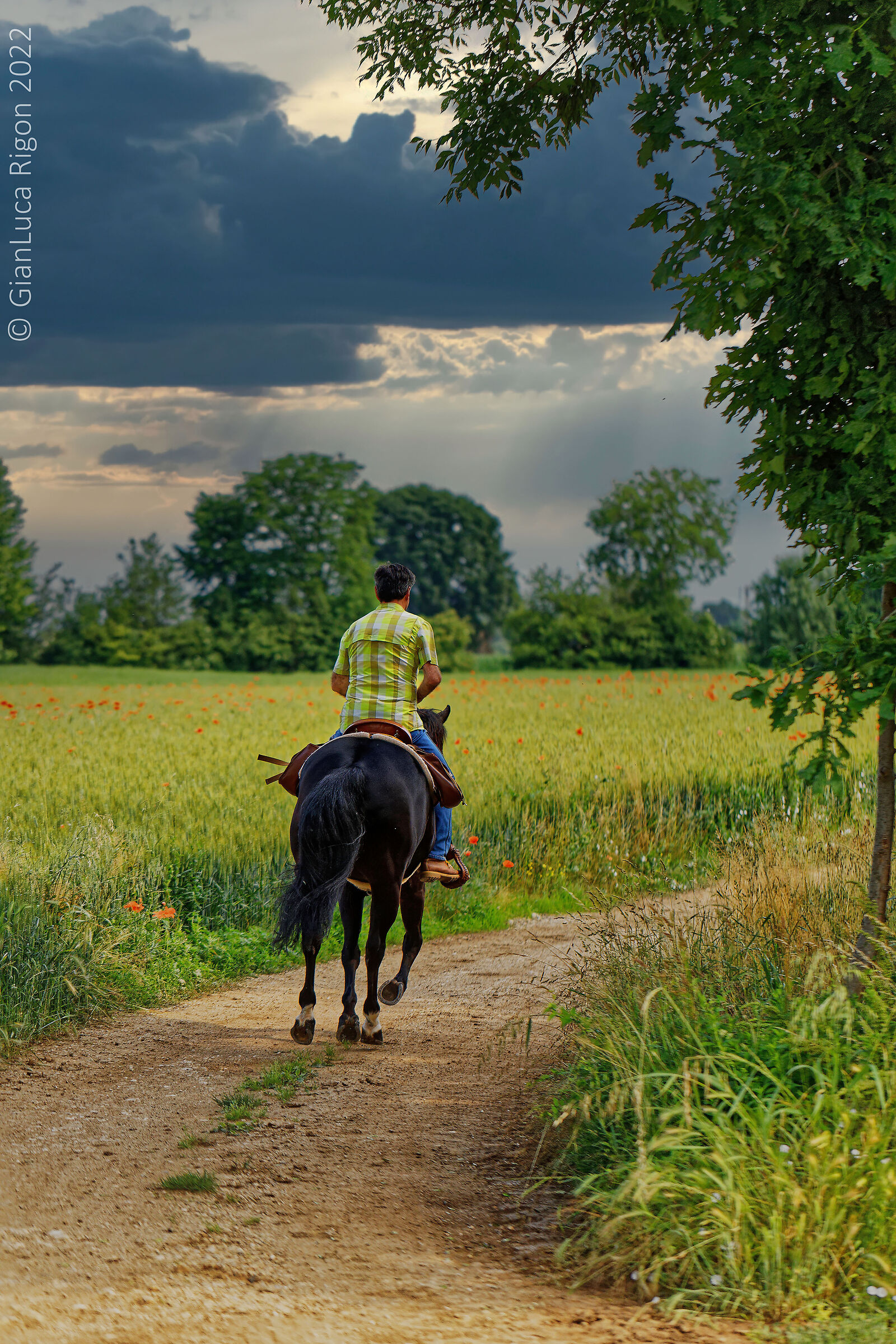 A cavallo per la campagna vicentina