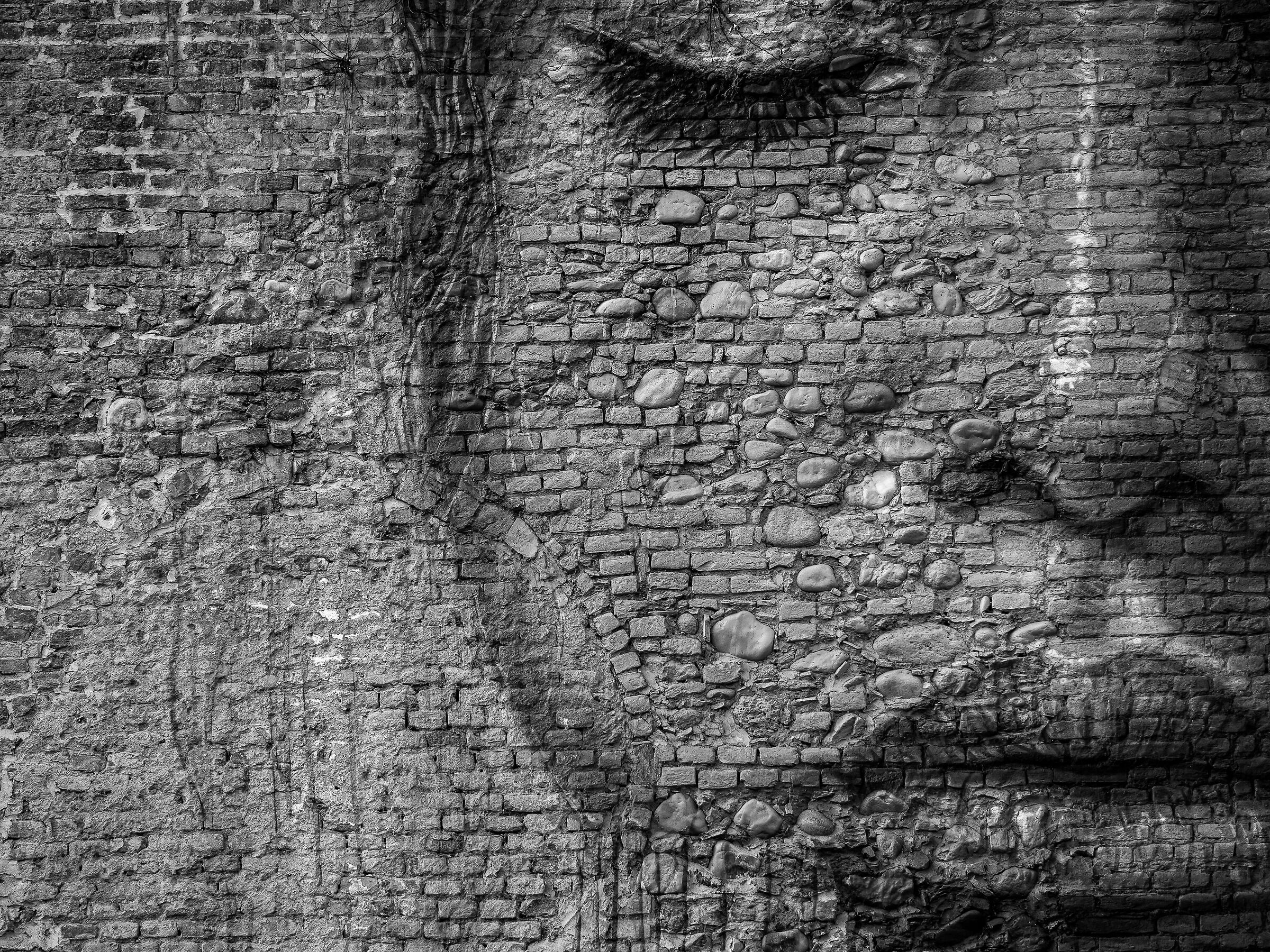 beauty and emotion .....