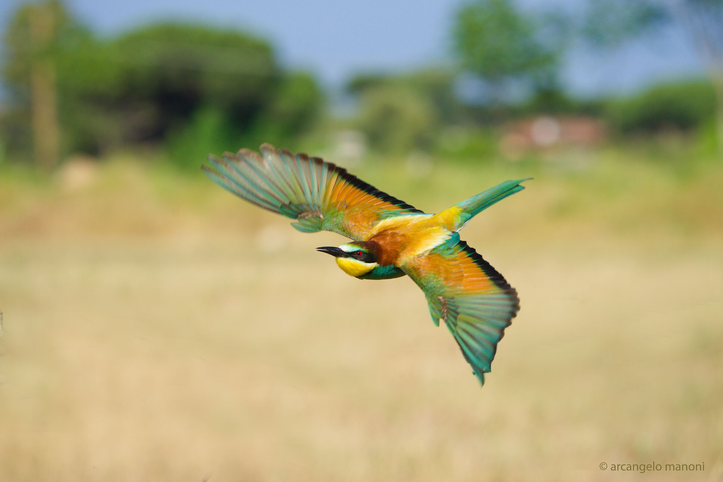 At three mt. from the flight