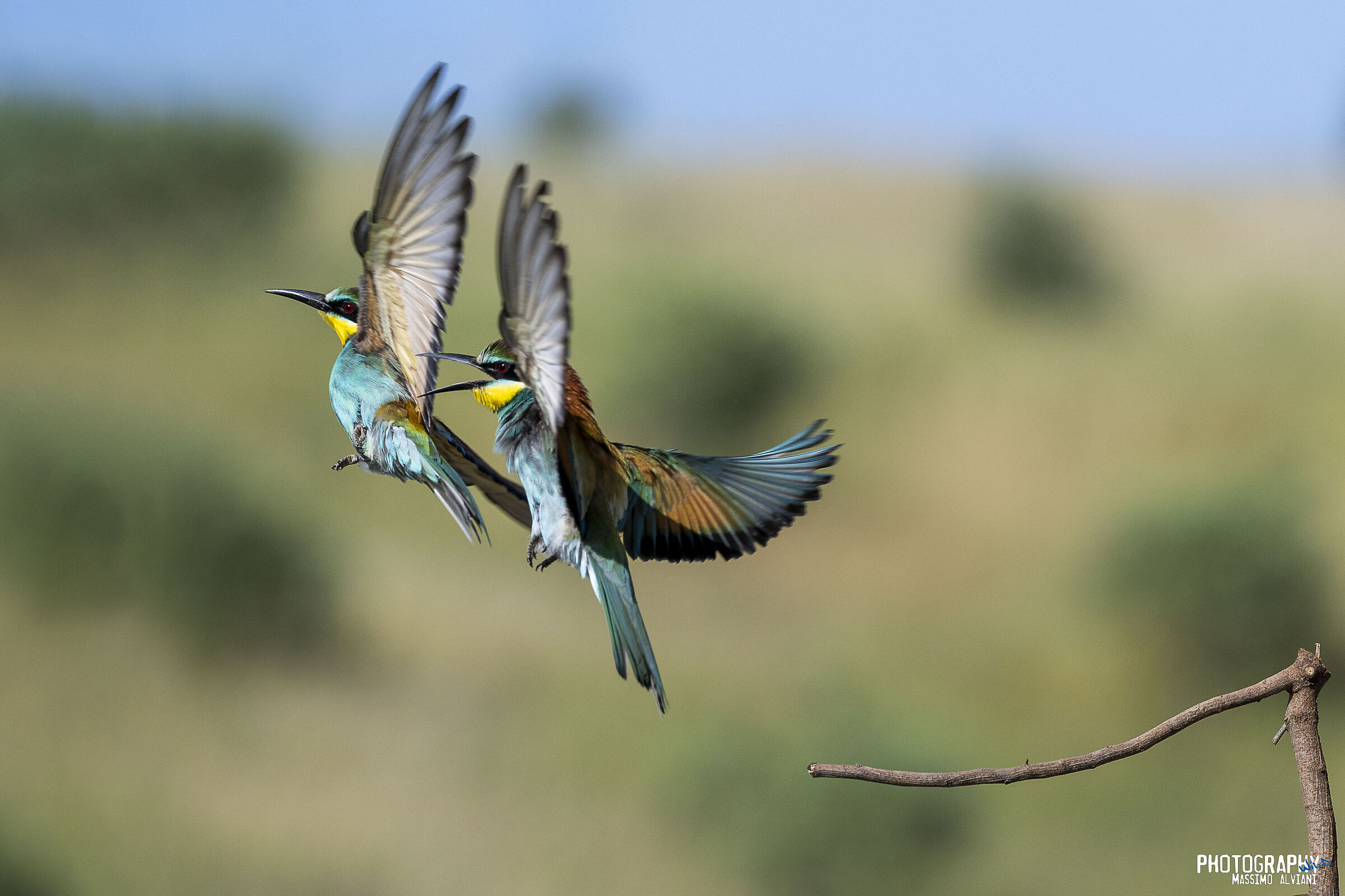 Via.......................