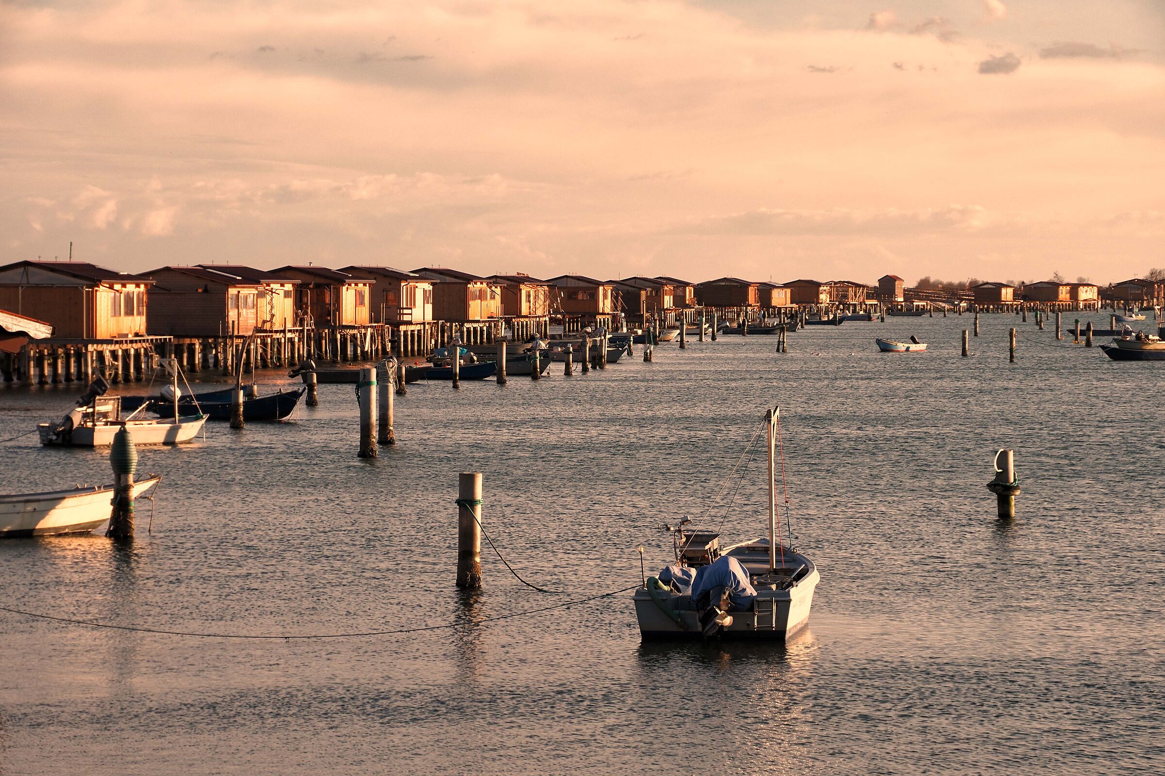 Sacca degli Scardovari