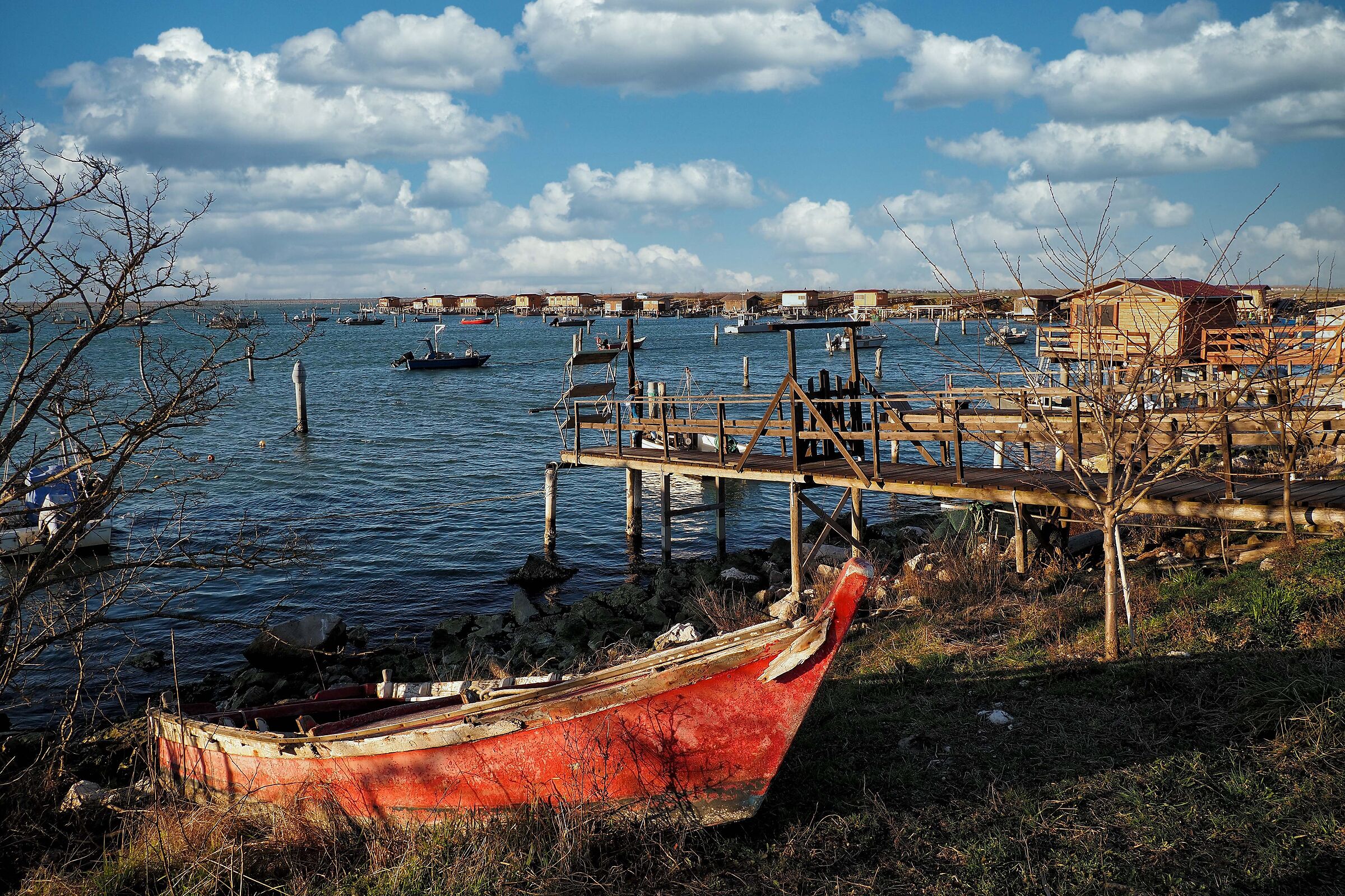 Sacca degli Scardovari