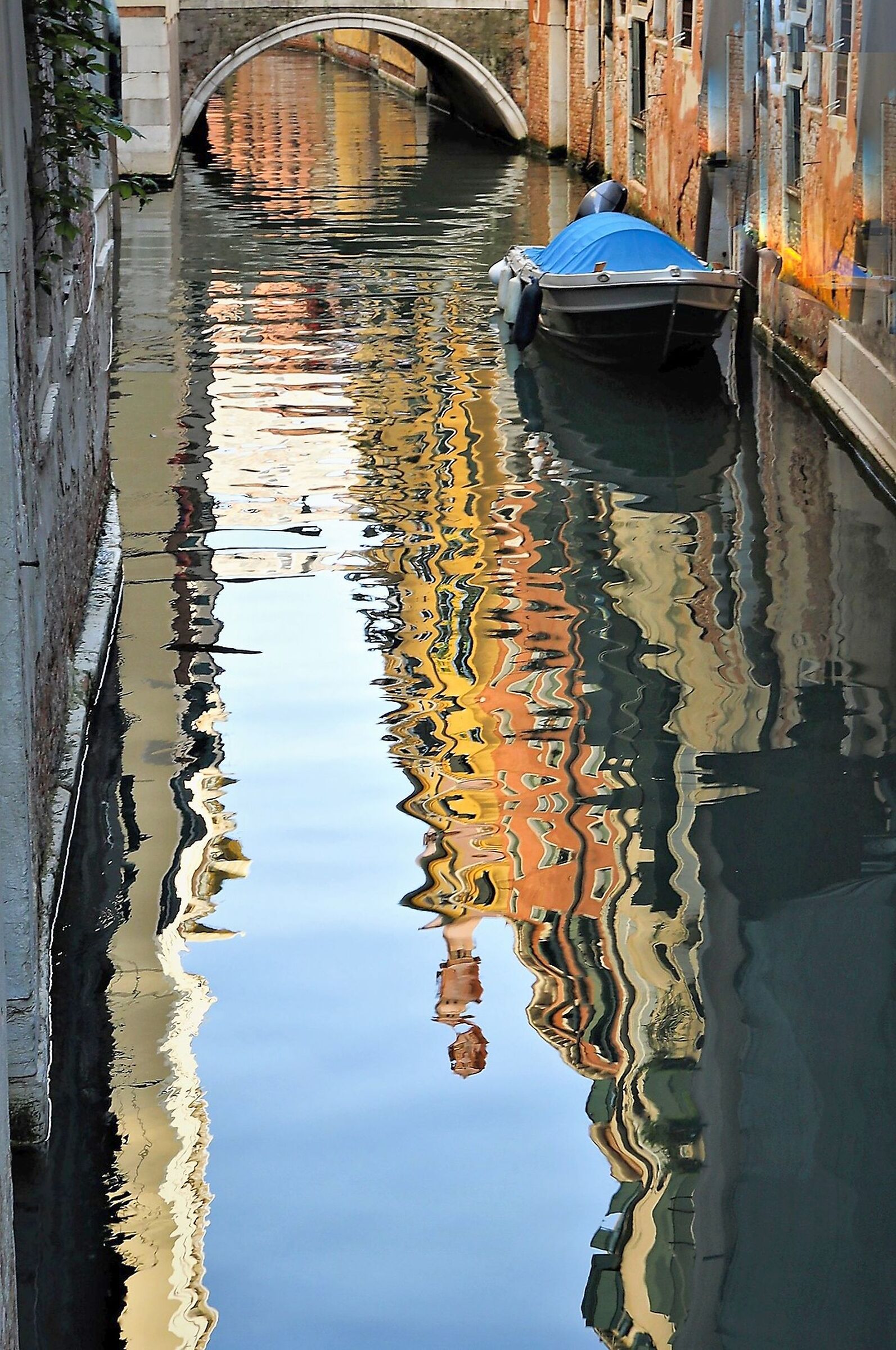 Venice: beautiful reflected and natural 1