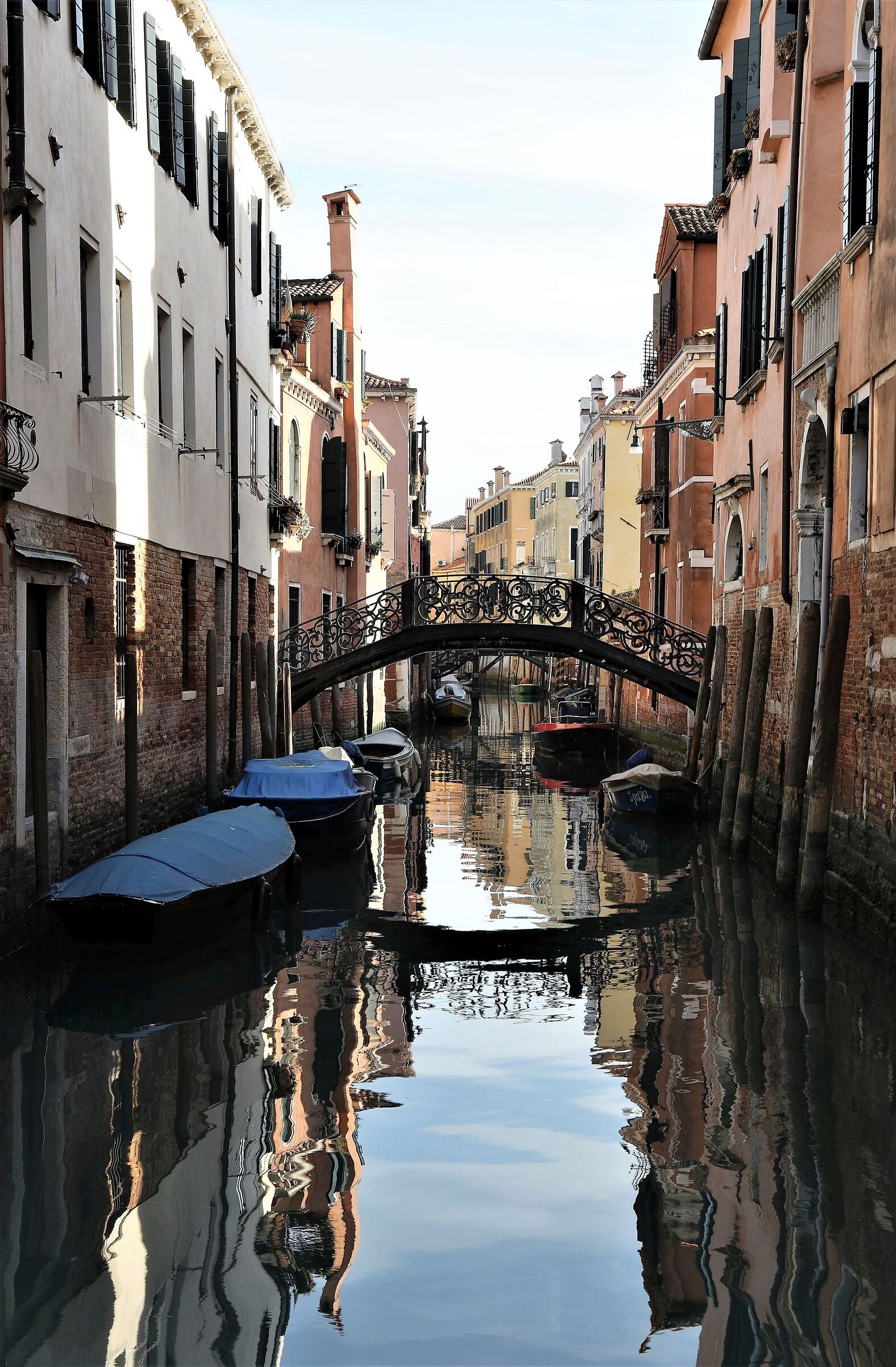 Venice: beautiful reflected and natural 2