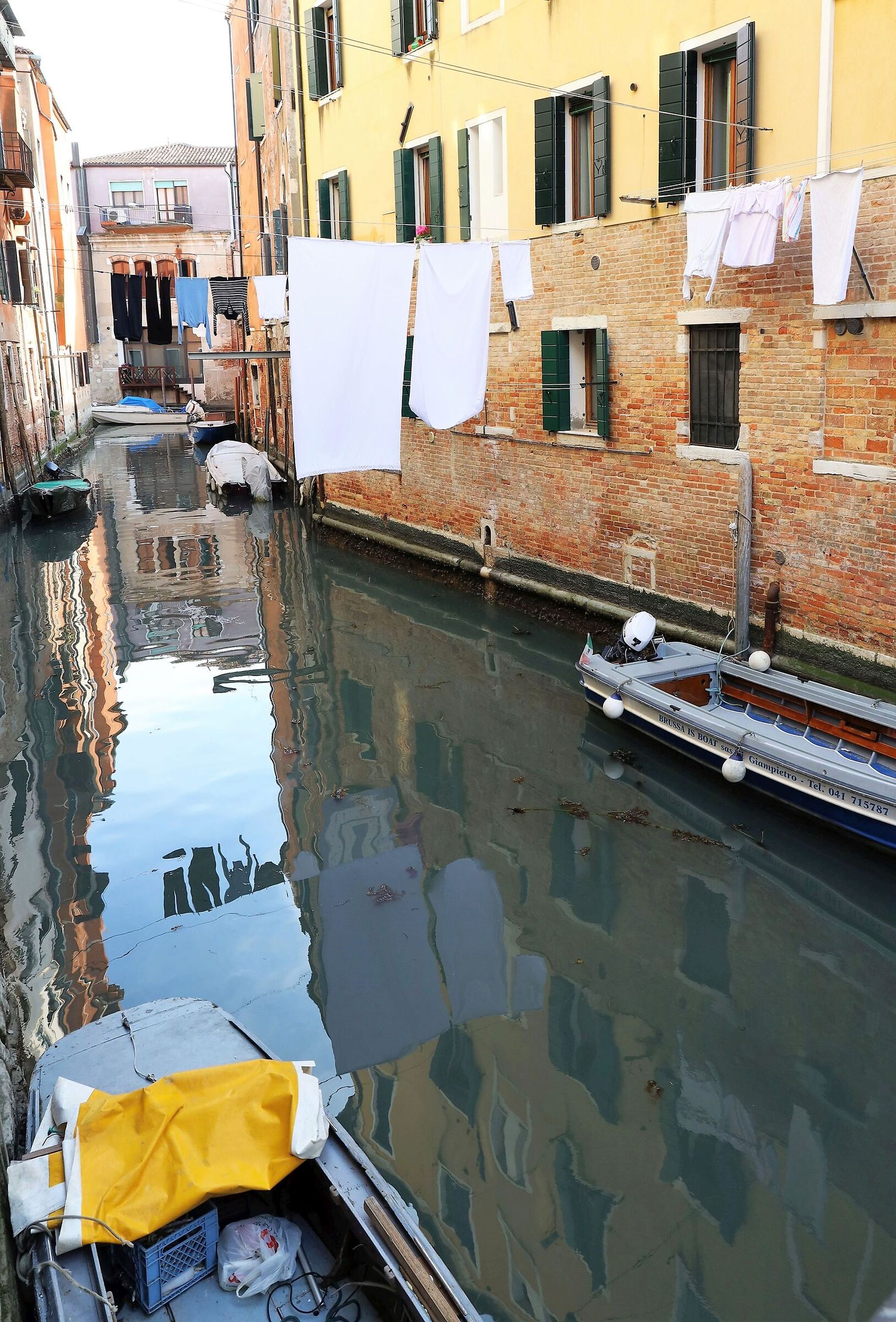 Venice: beautiful reflection and natural 6