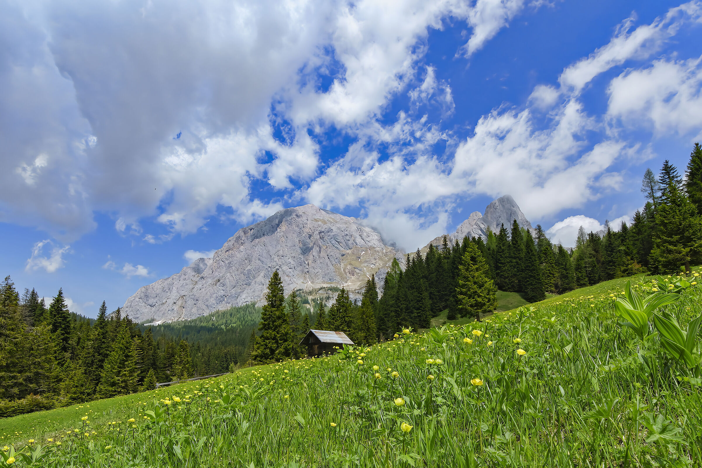 Baite alpine , sorgenti del Piave