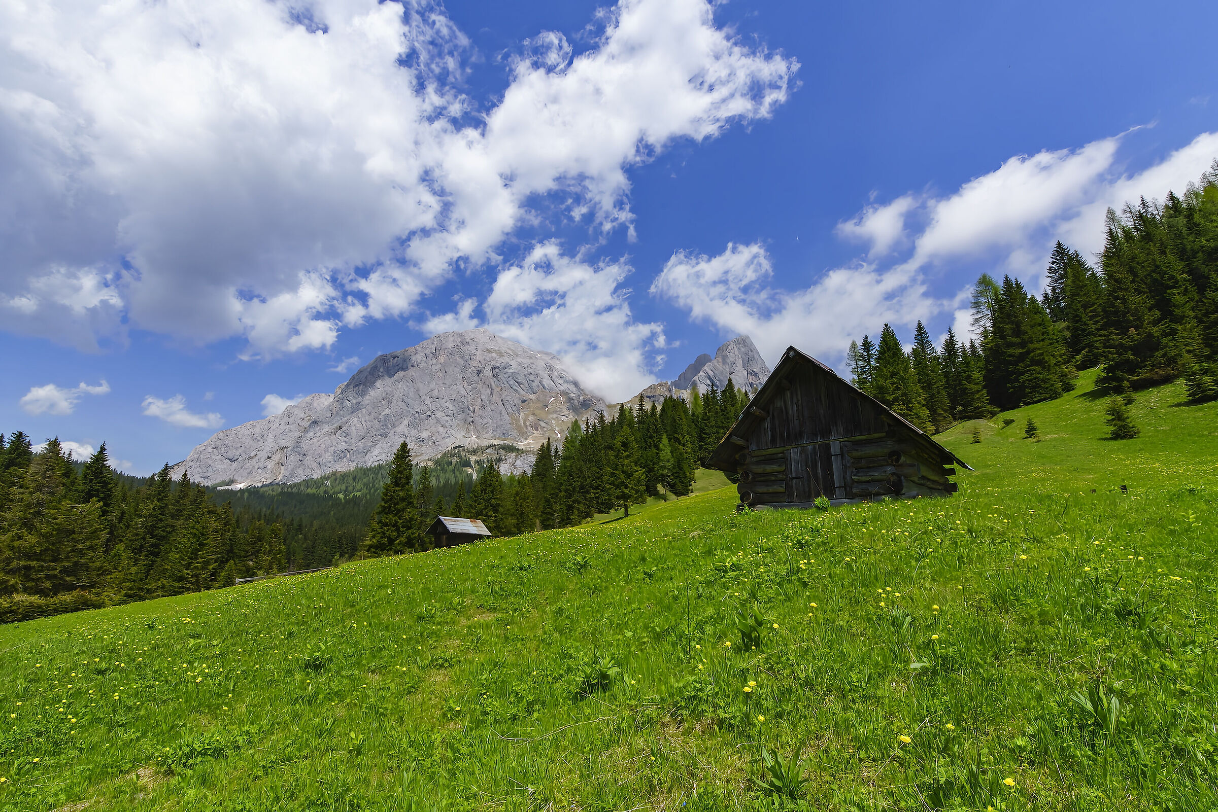 Baite alpine , sorgenti del Piave
