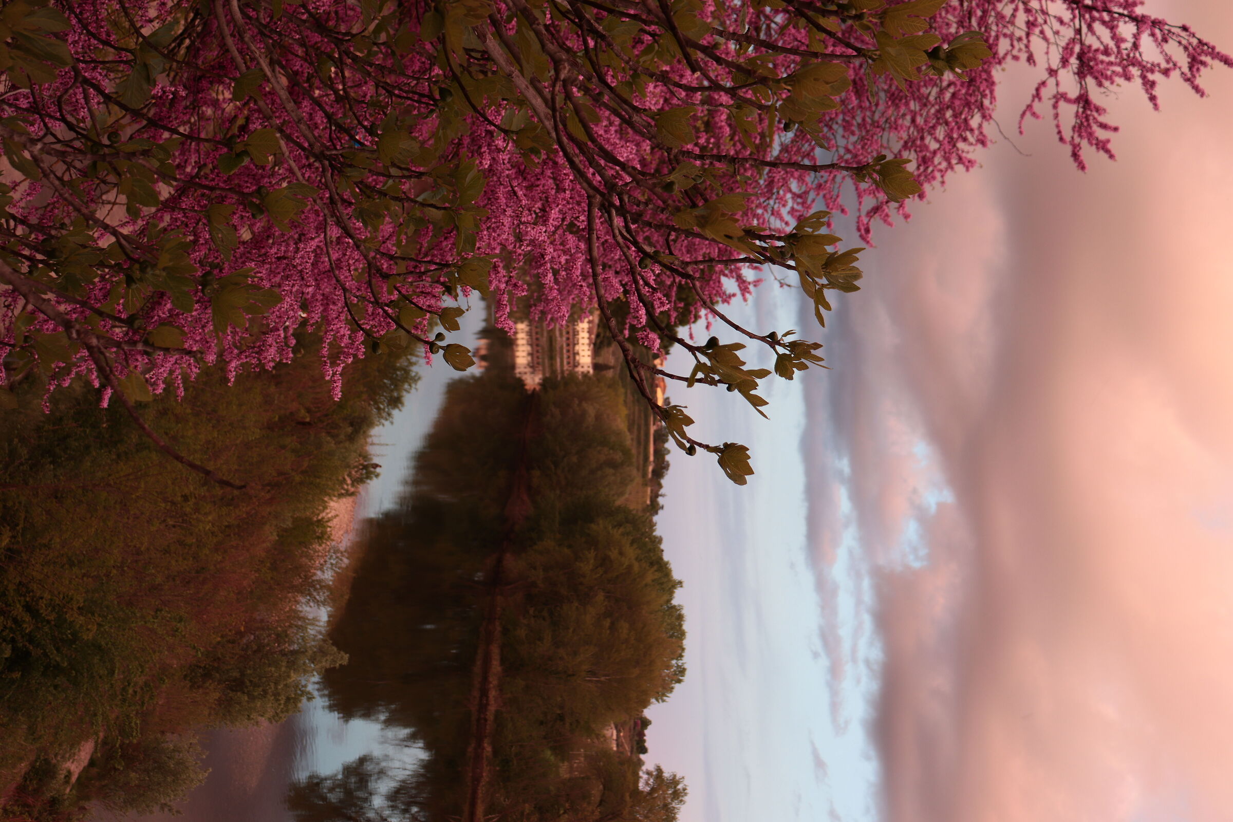 Valpolicella Verona