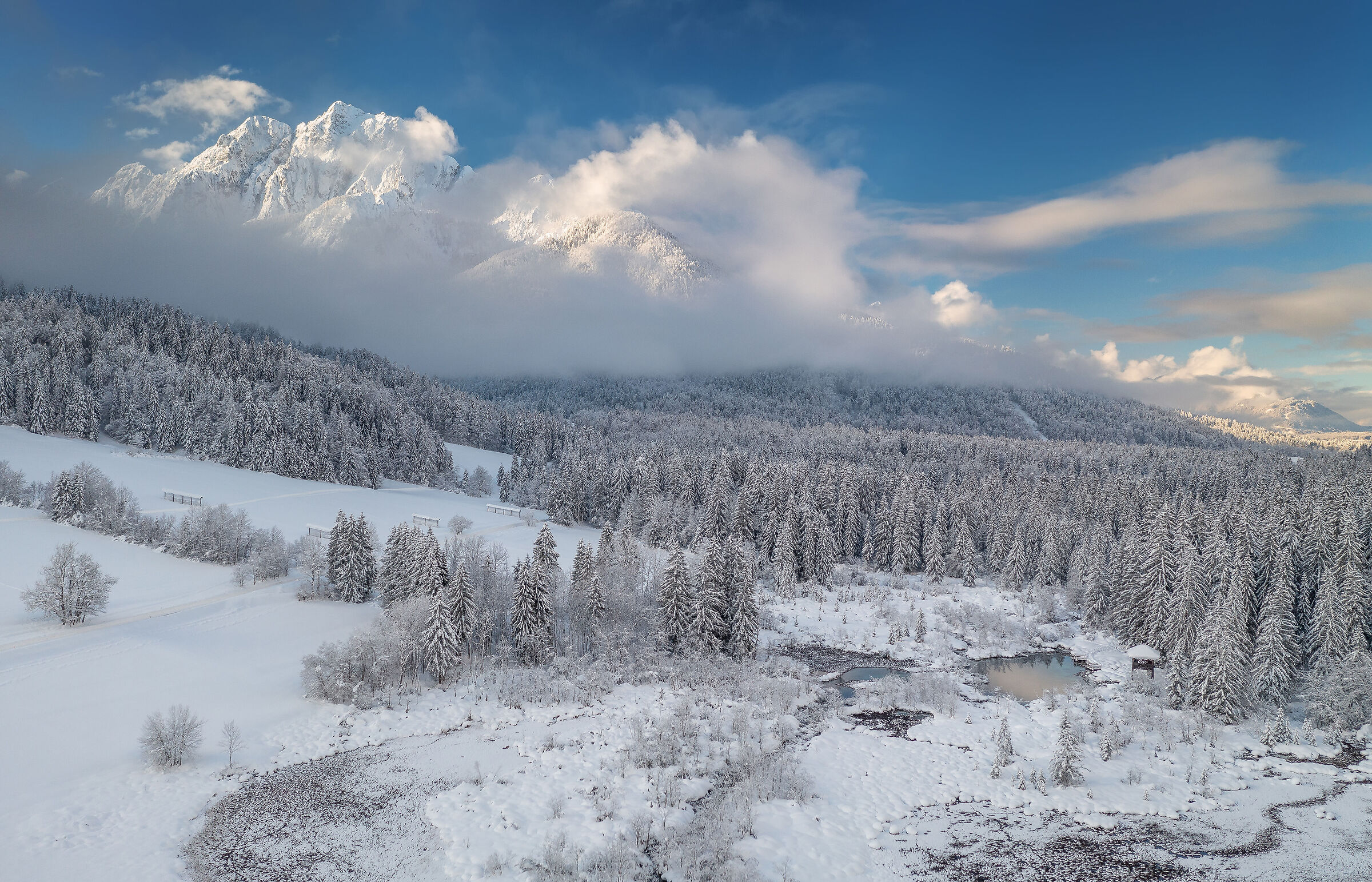 Zelenci springs