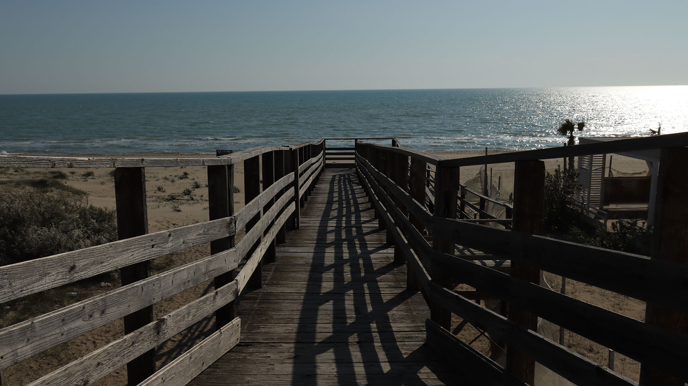Mare