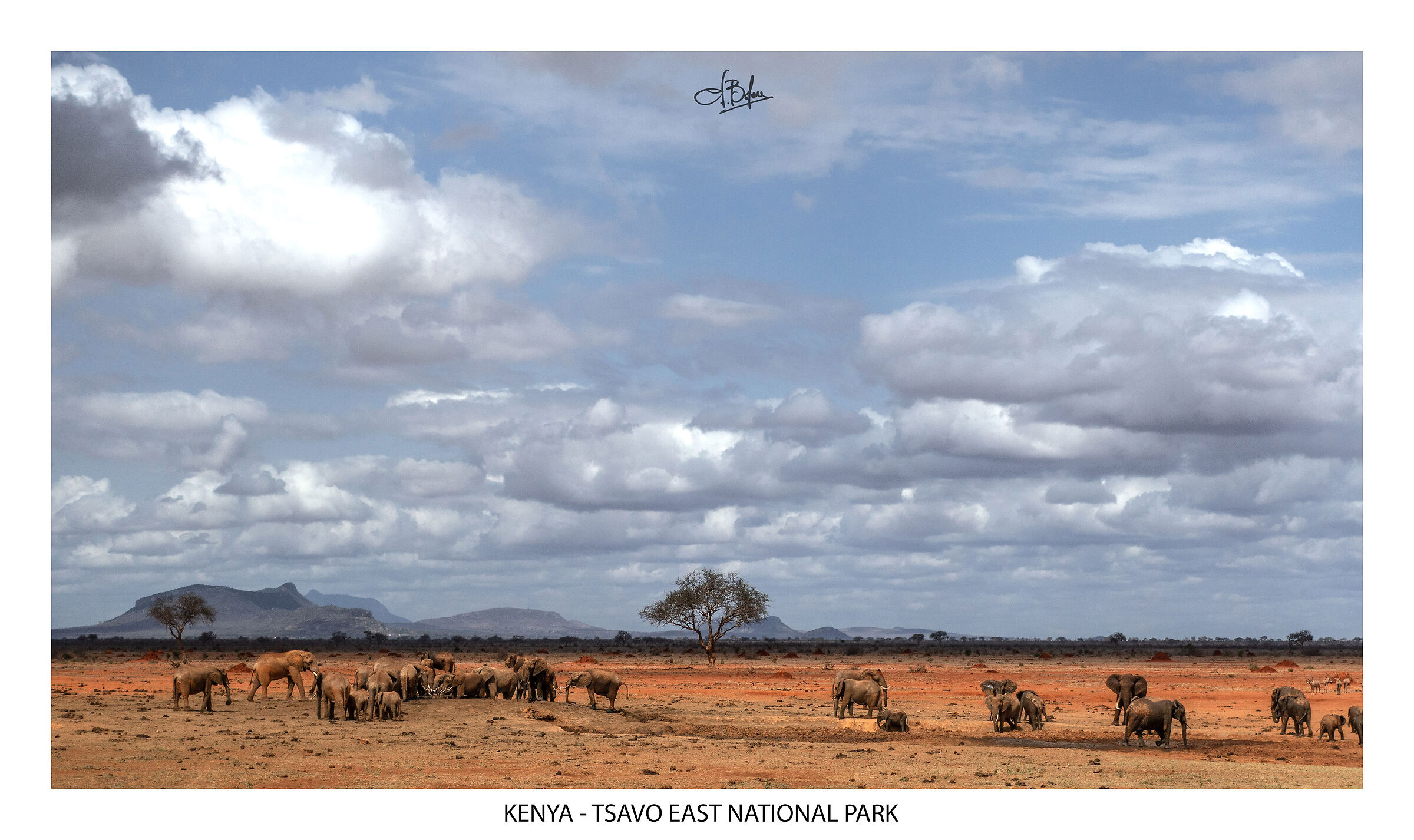 Kenya - tsavo National Park