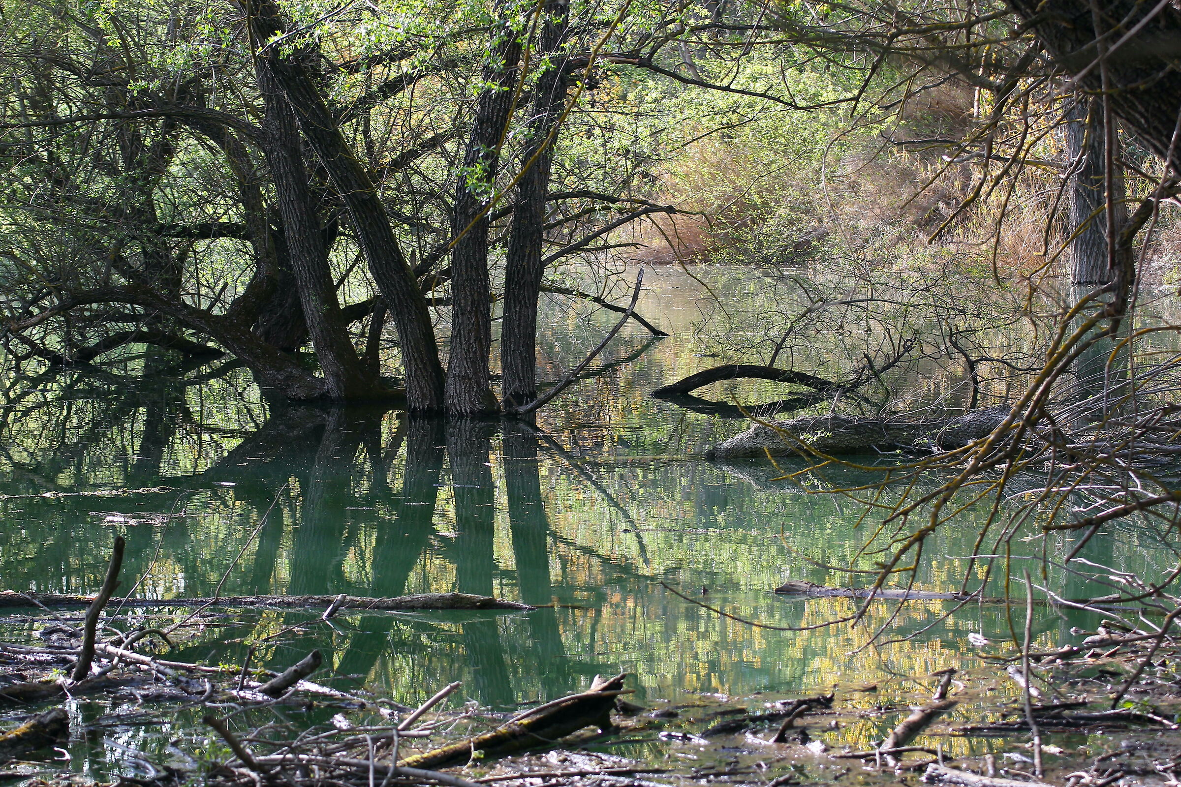 Sfumature nel lago di Penne